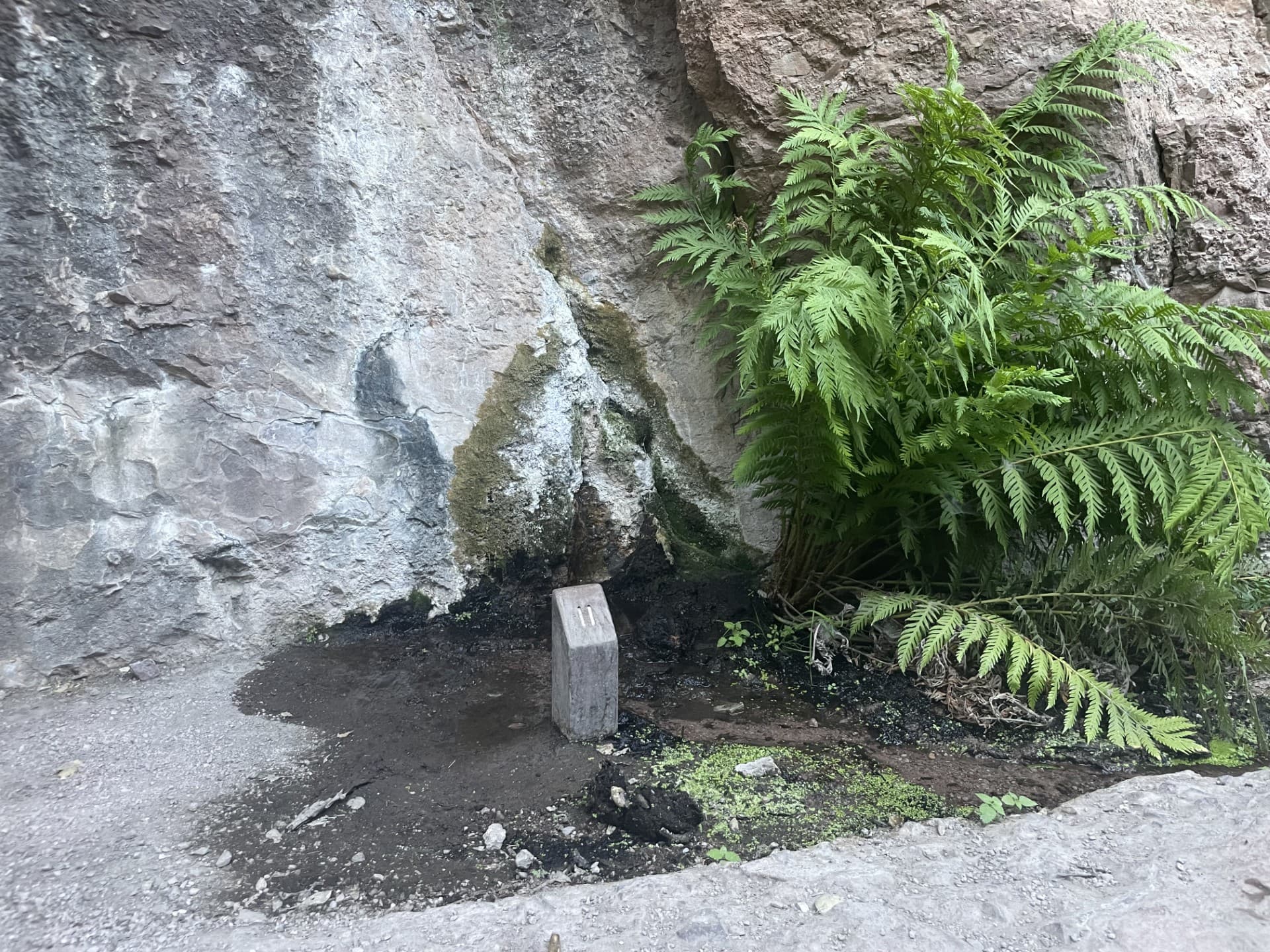 Moses Spring