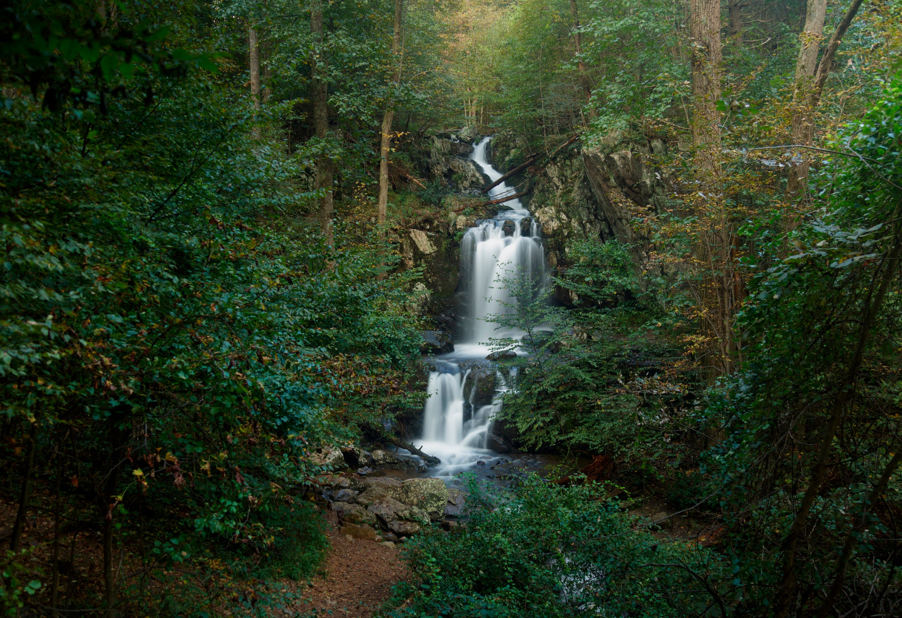 Doyles River Falls Trailhead