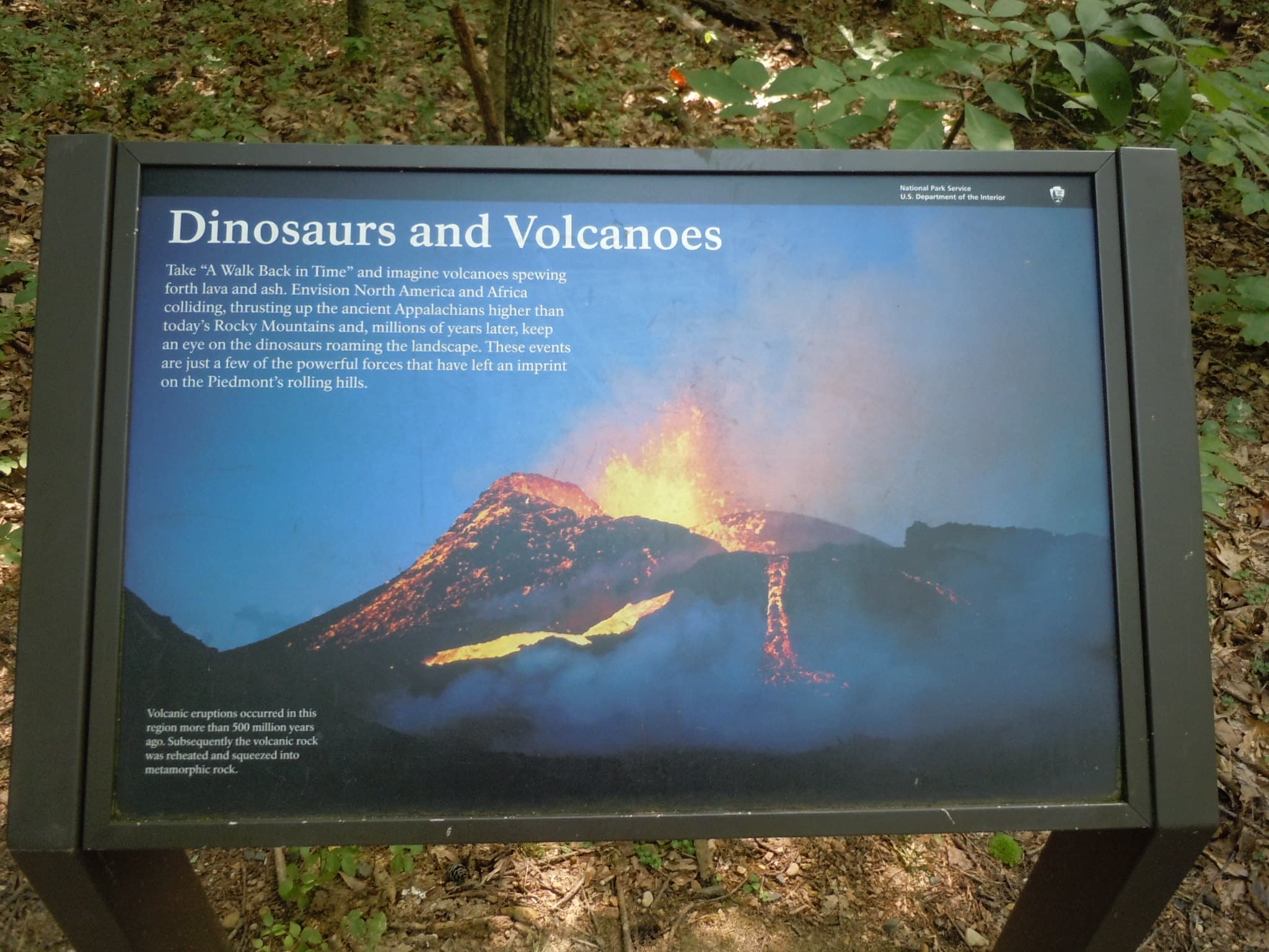 Dinosaurs and Volcanoes