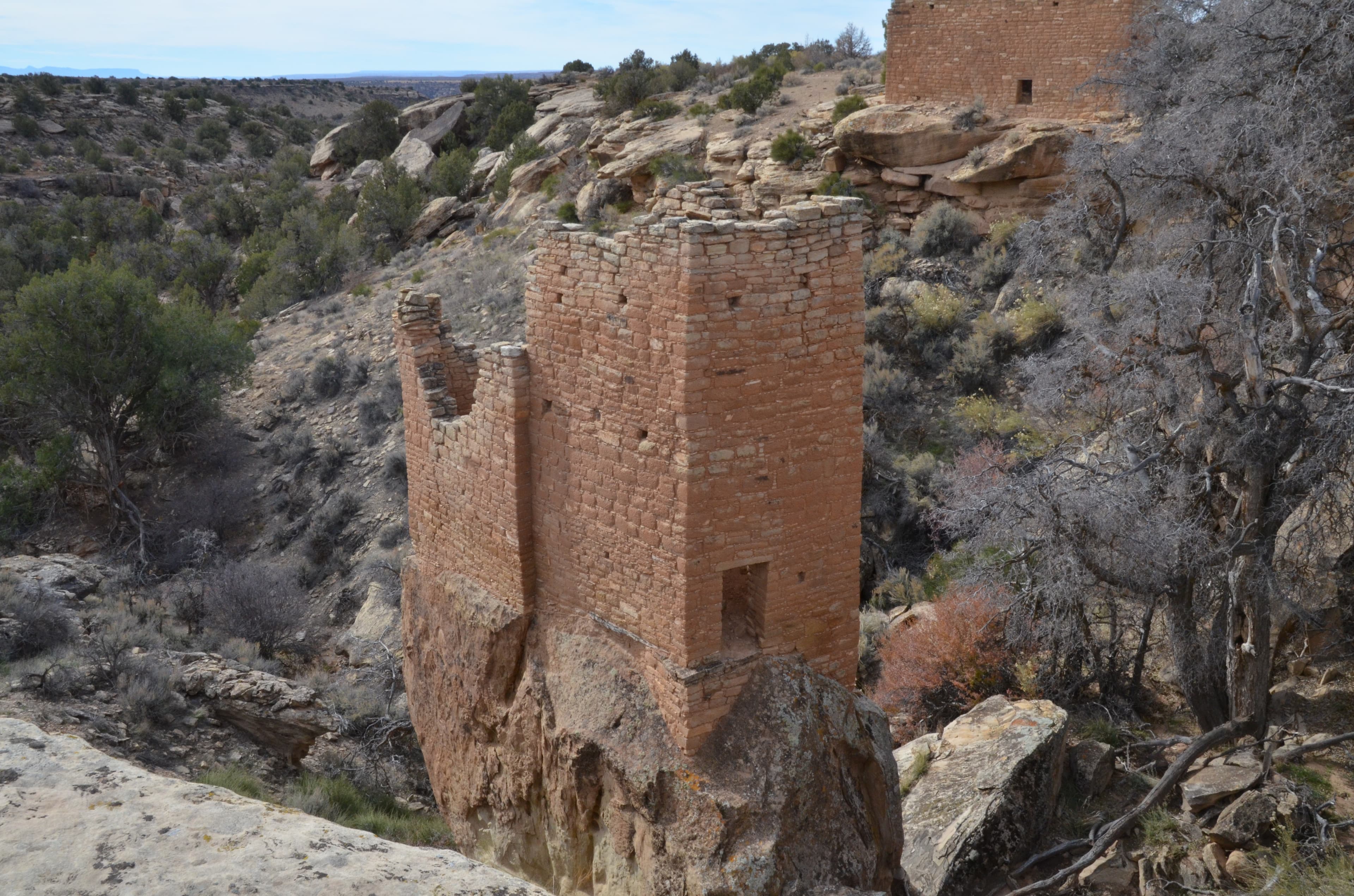 Holly Tower