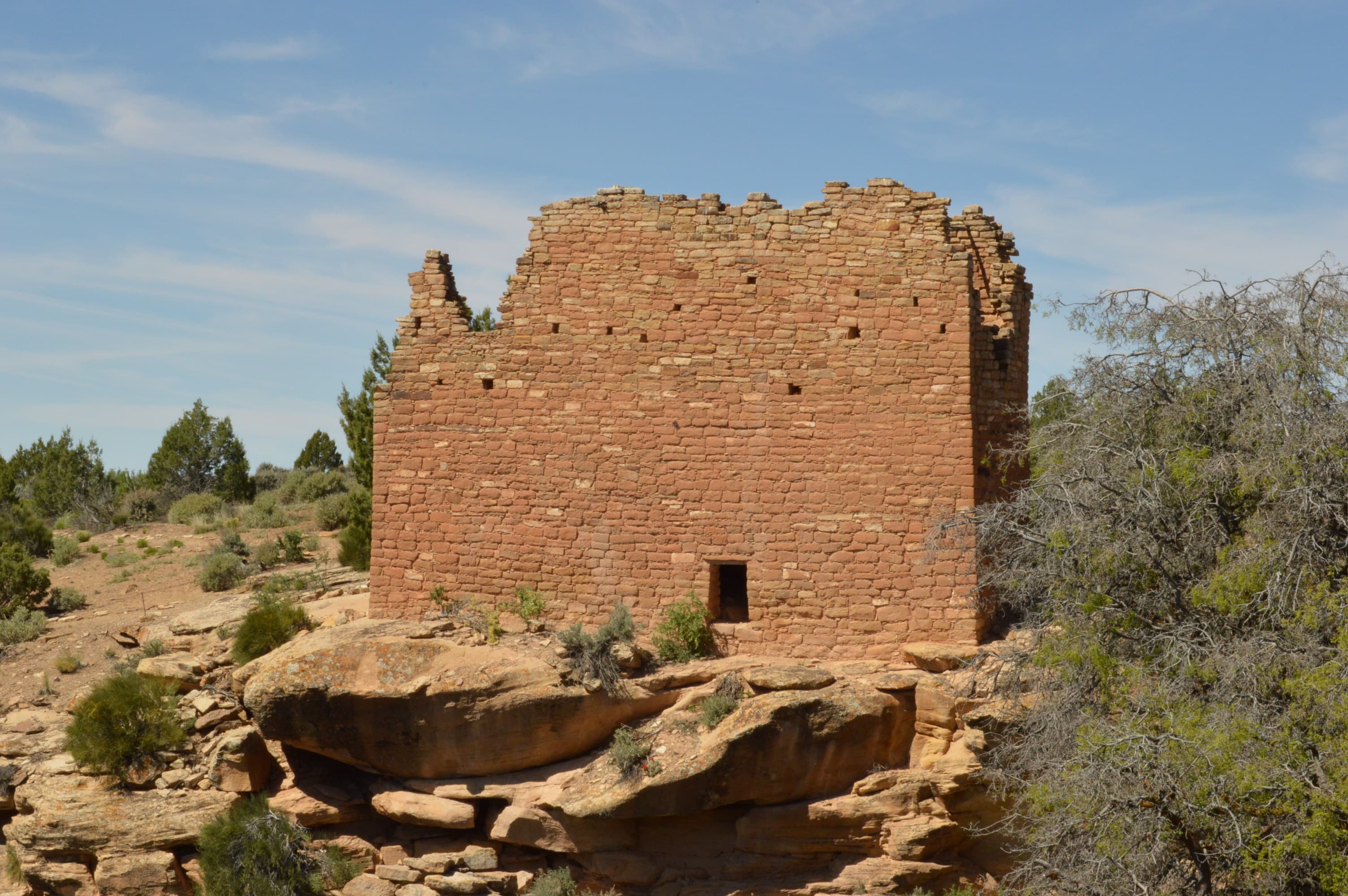 Holly House