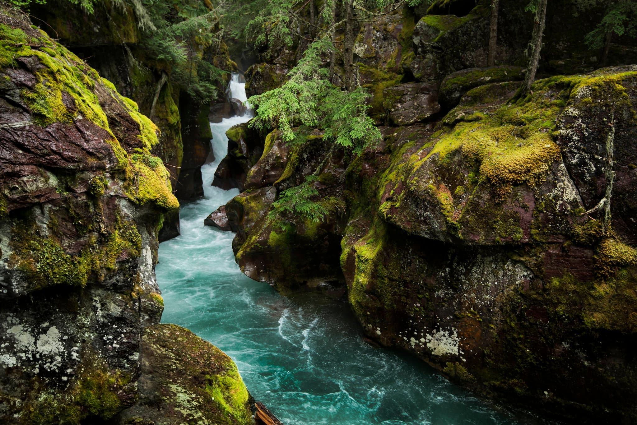 Avalanche Creek