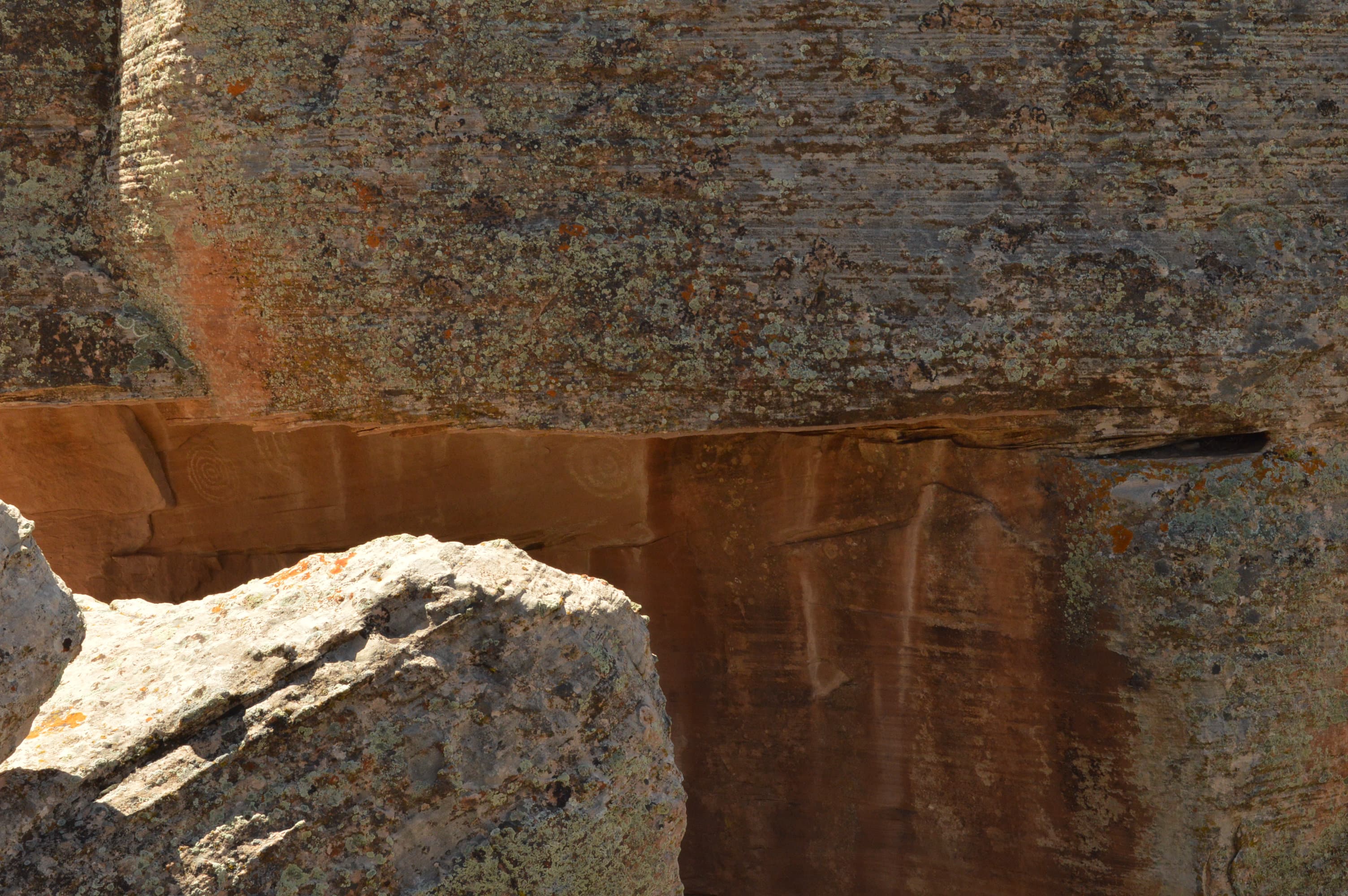 Holly Petroglyph Panel