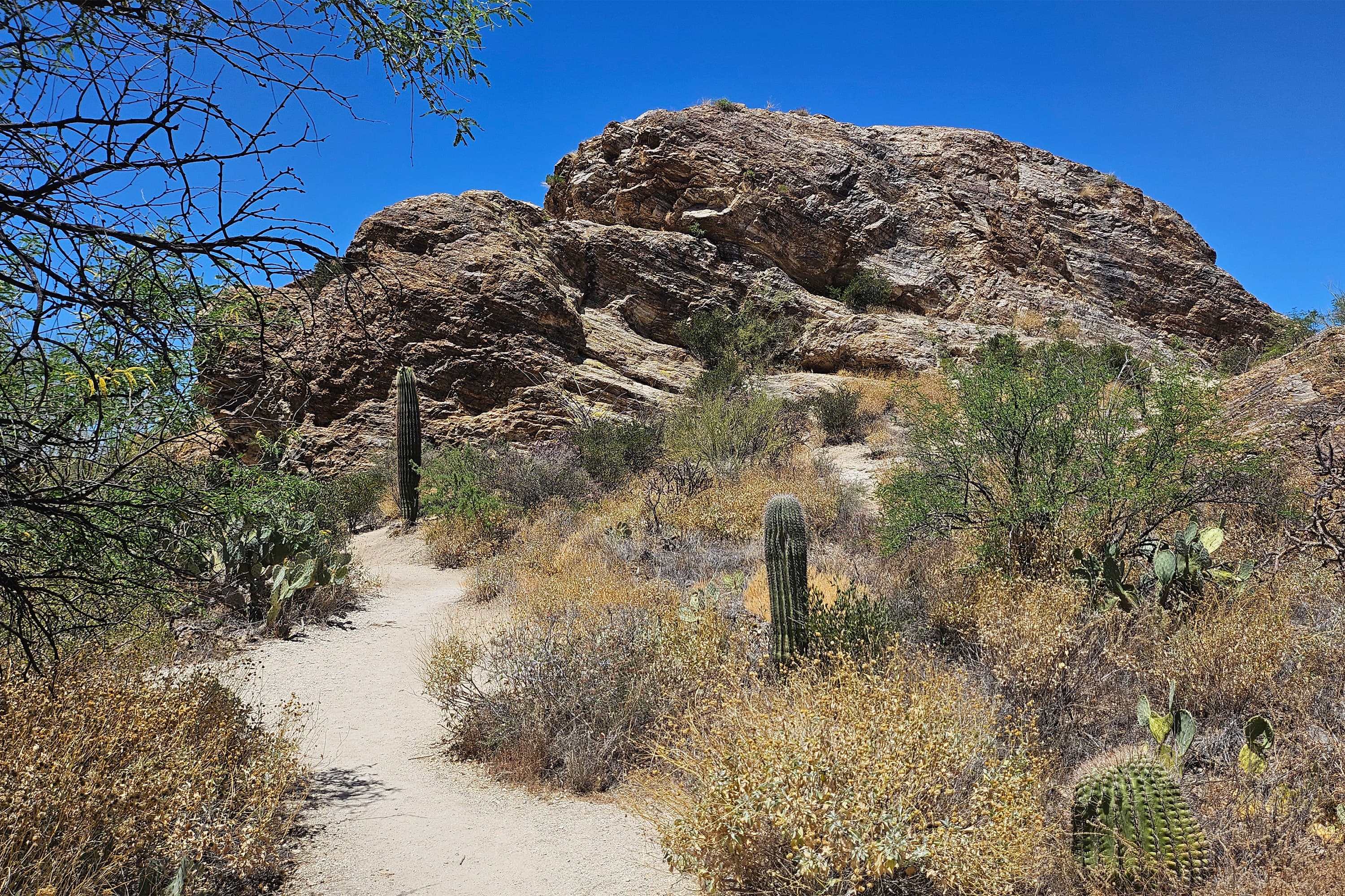 Javelina Rocks Overlook