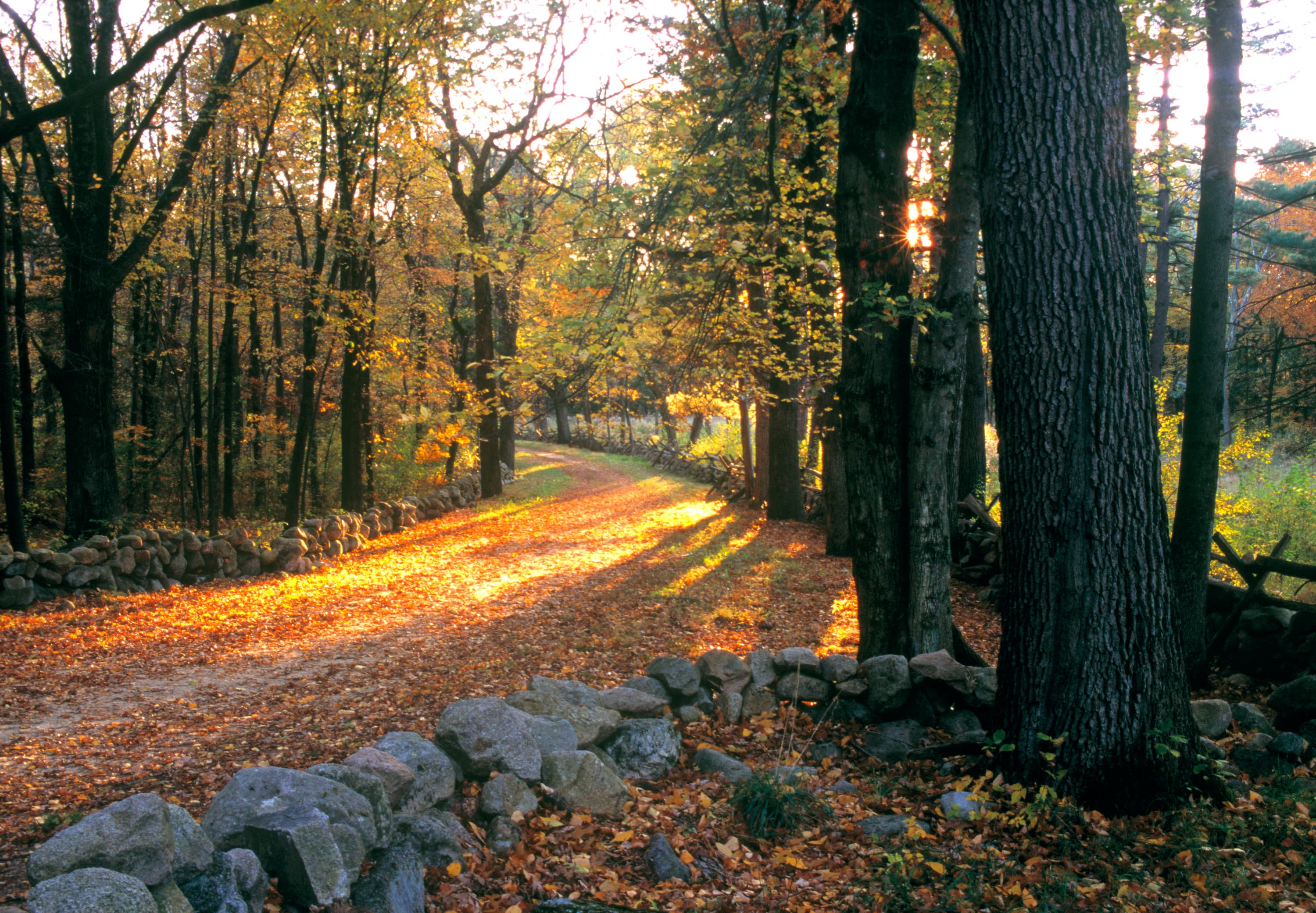 Elm Brook Hill