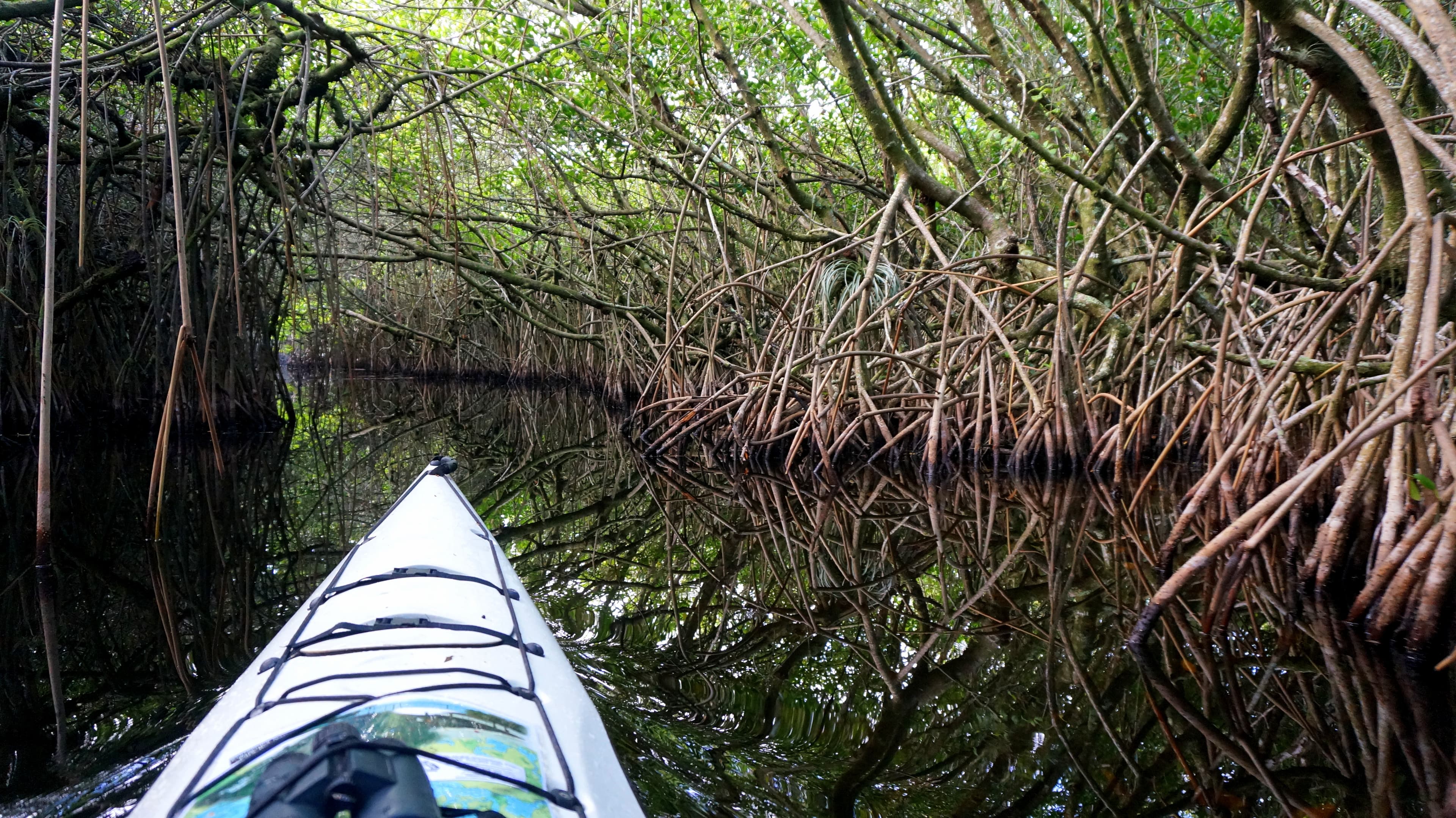 Turner River Paddling Trail