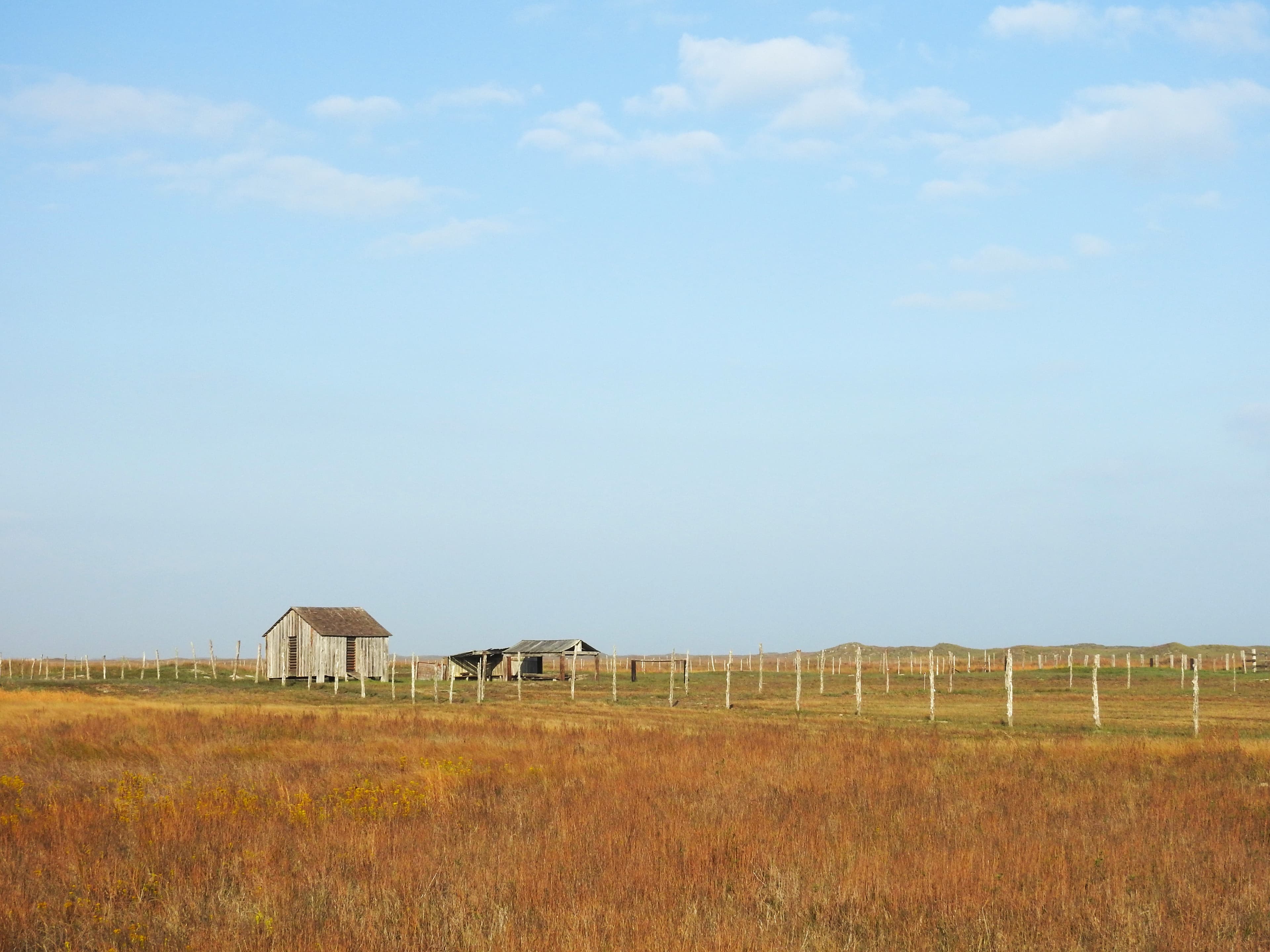 Novillo Line Camp