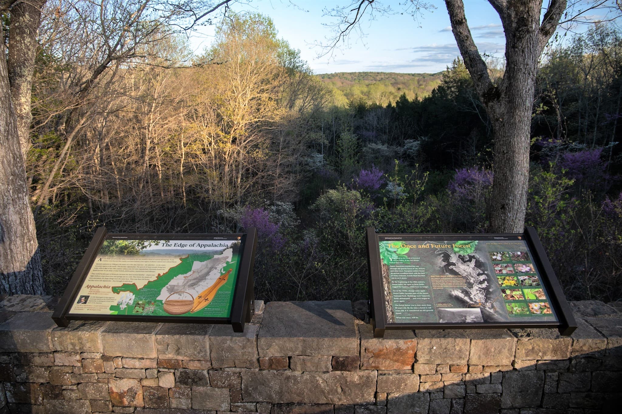 Doyel Valley Overlook