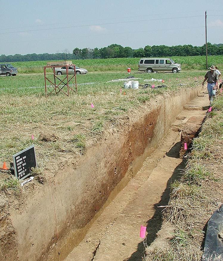 Hopeton Trench