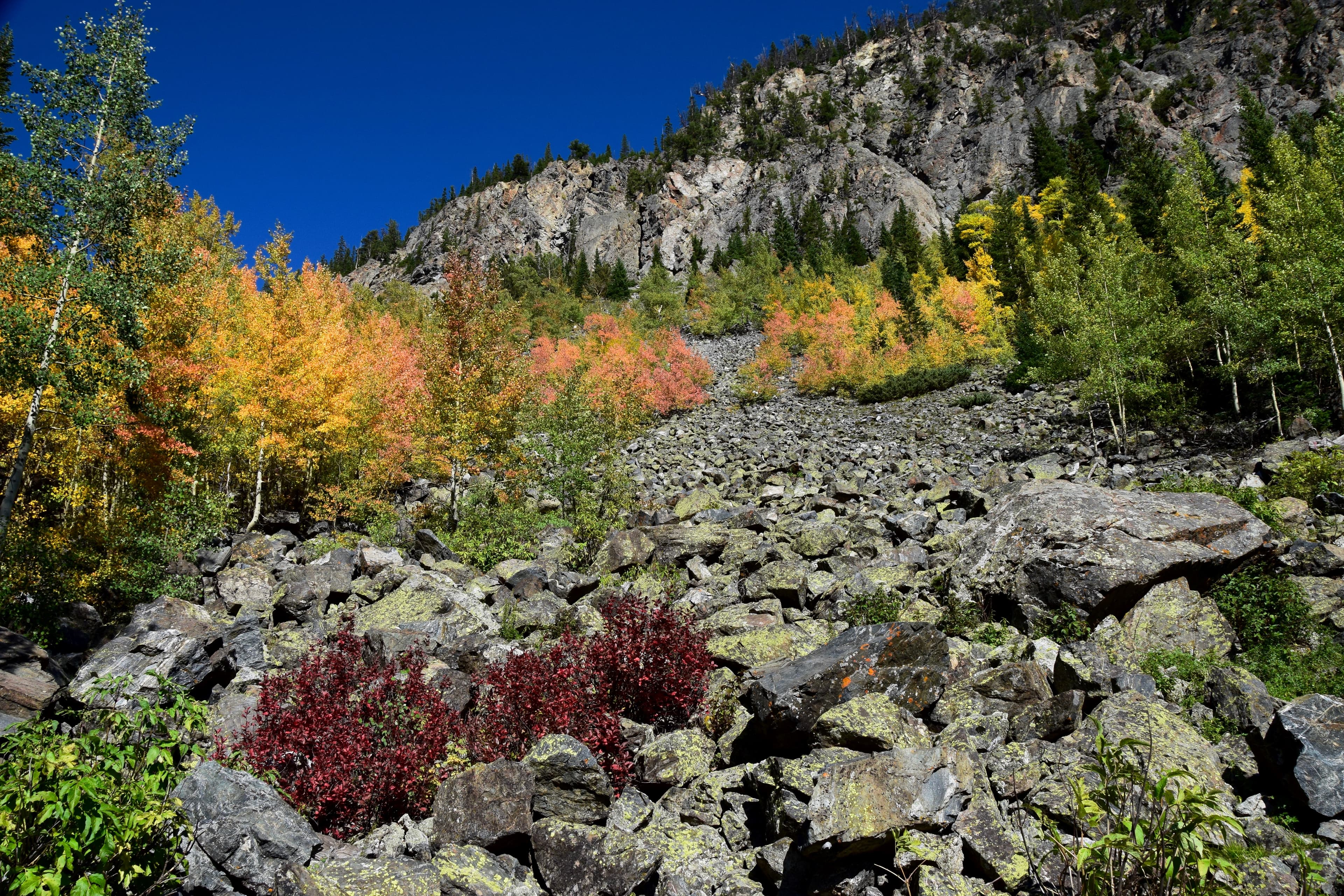 Colorado River Trailhead