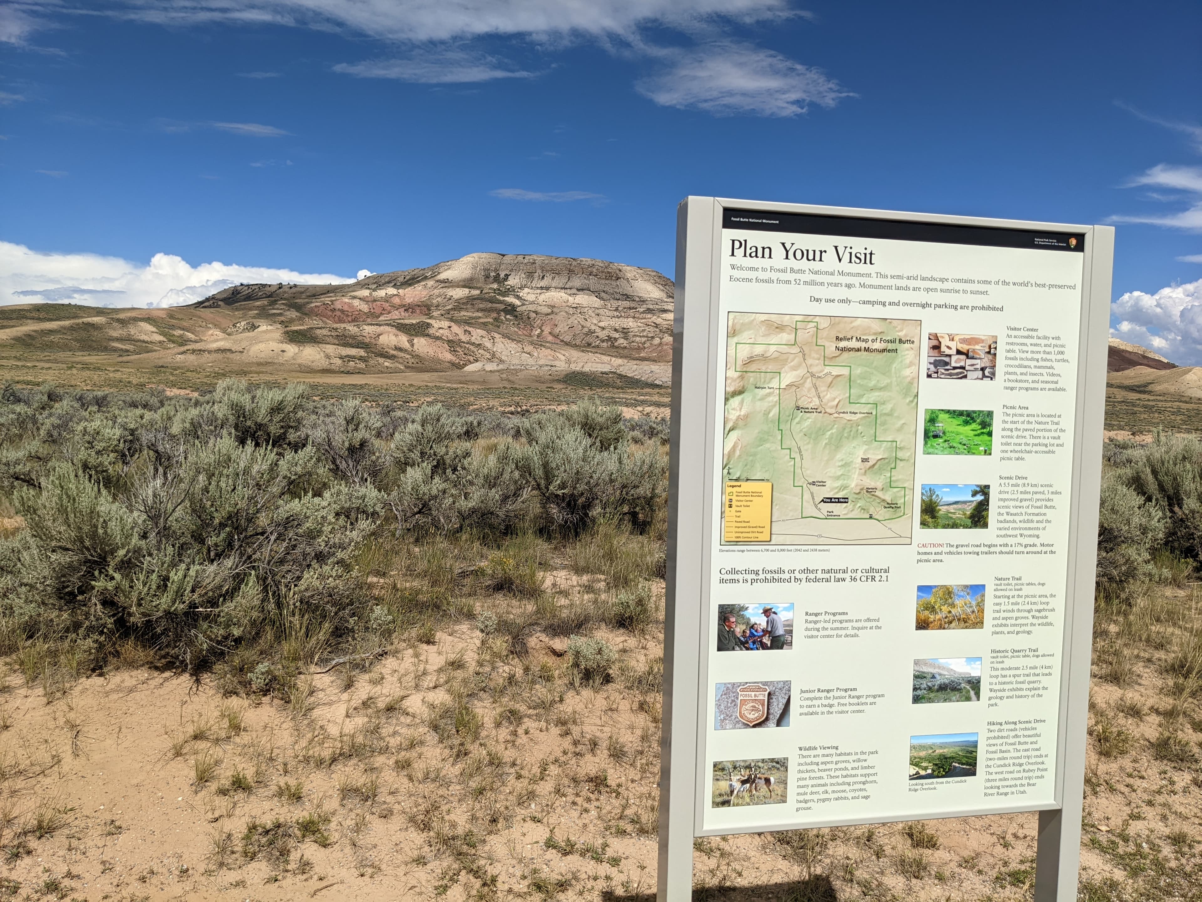 Wayside: Plan Your Visit to Fossil Butte