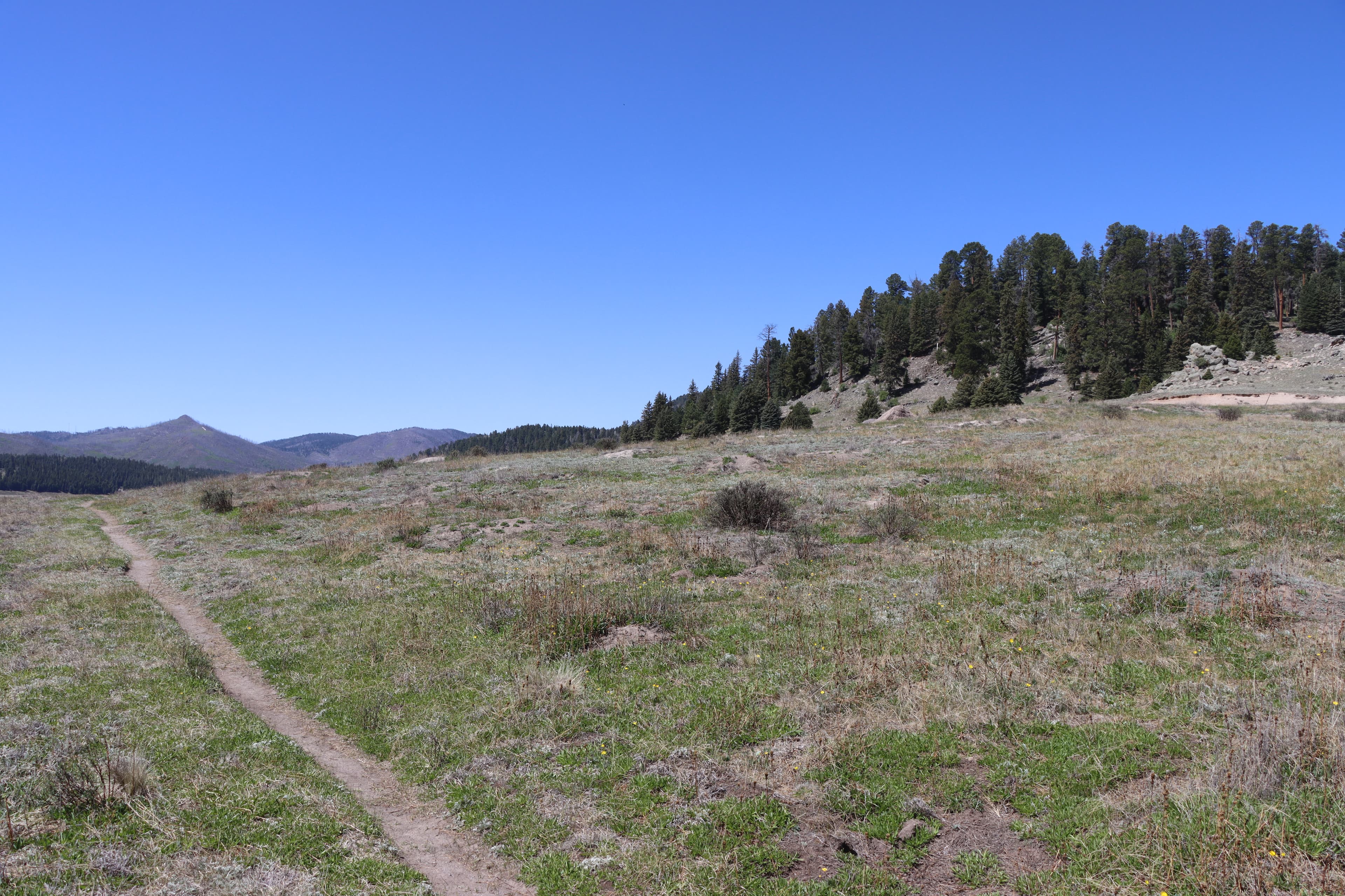 Cerro La Jara Stop 2