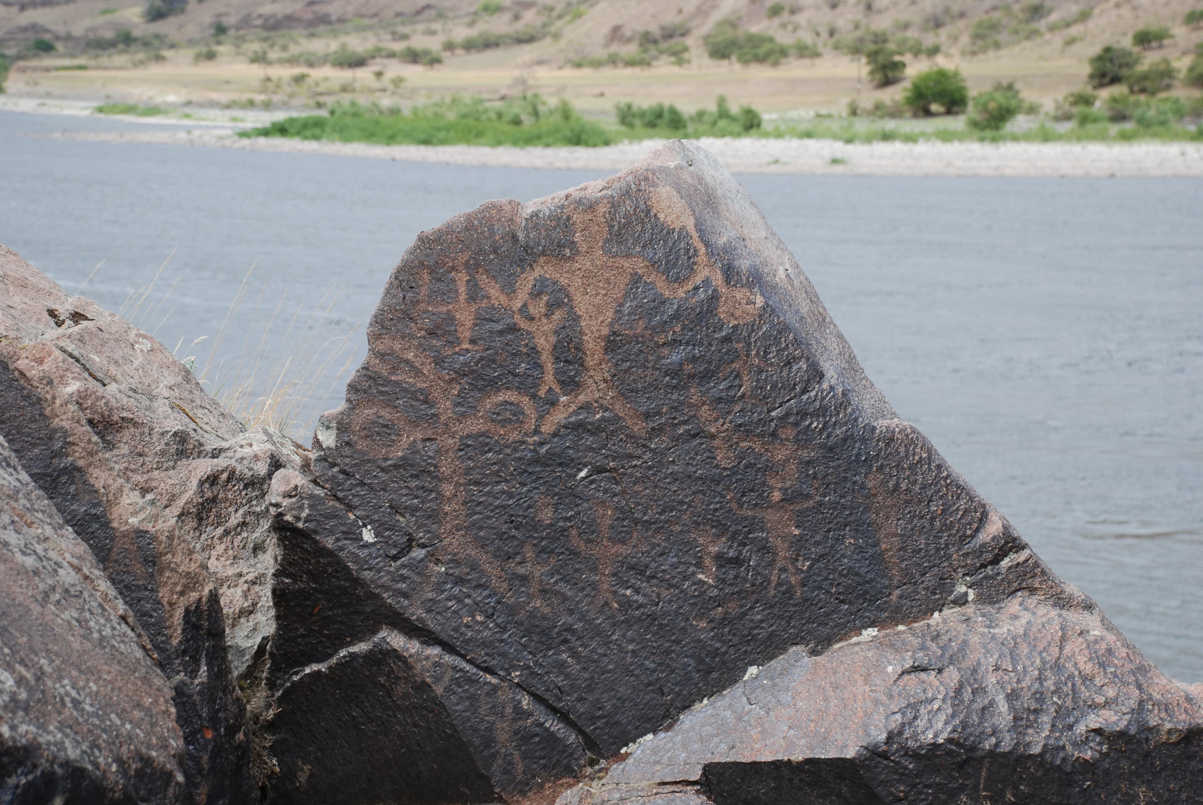 Buffalo Eddy