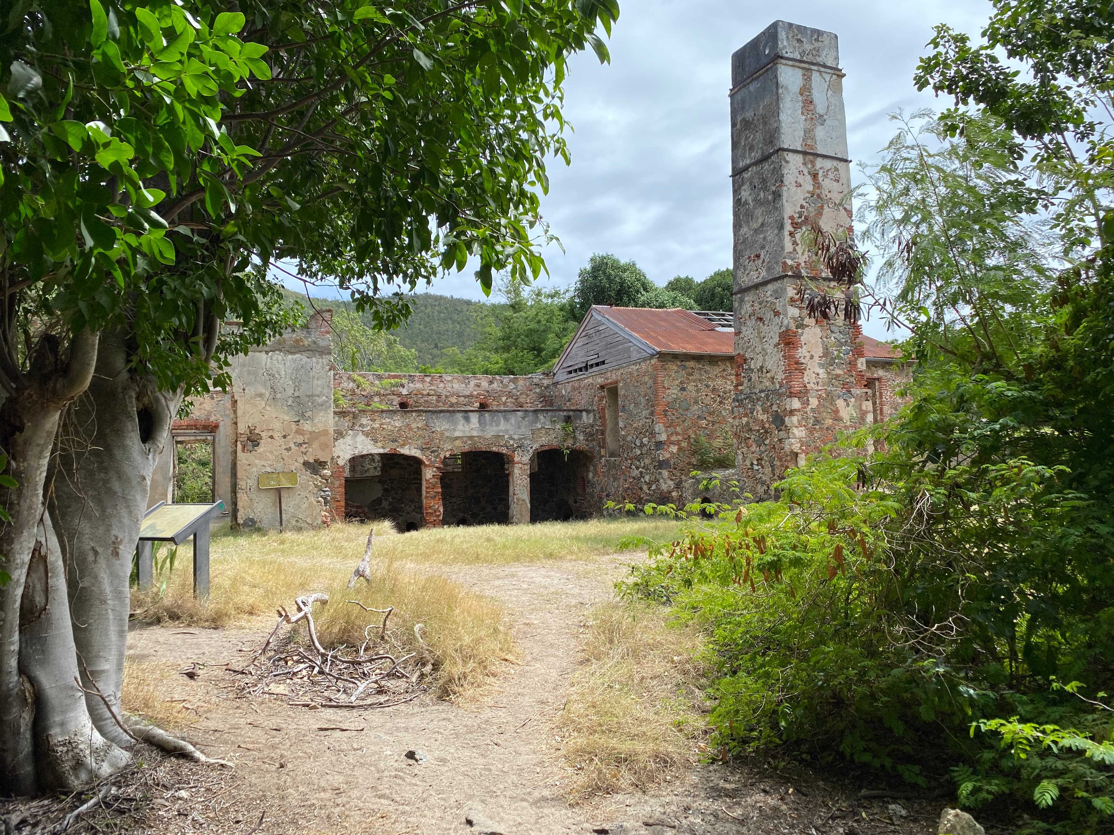 Reef Bay Trail and Sugar Plantation