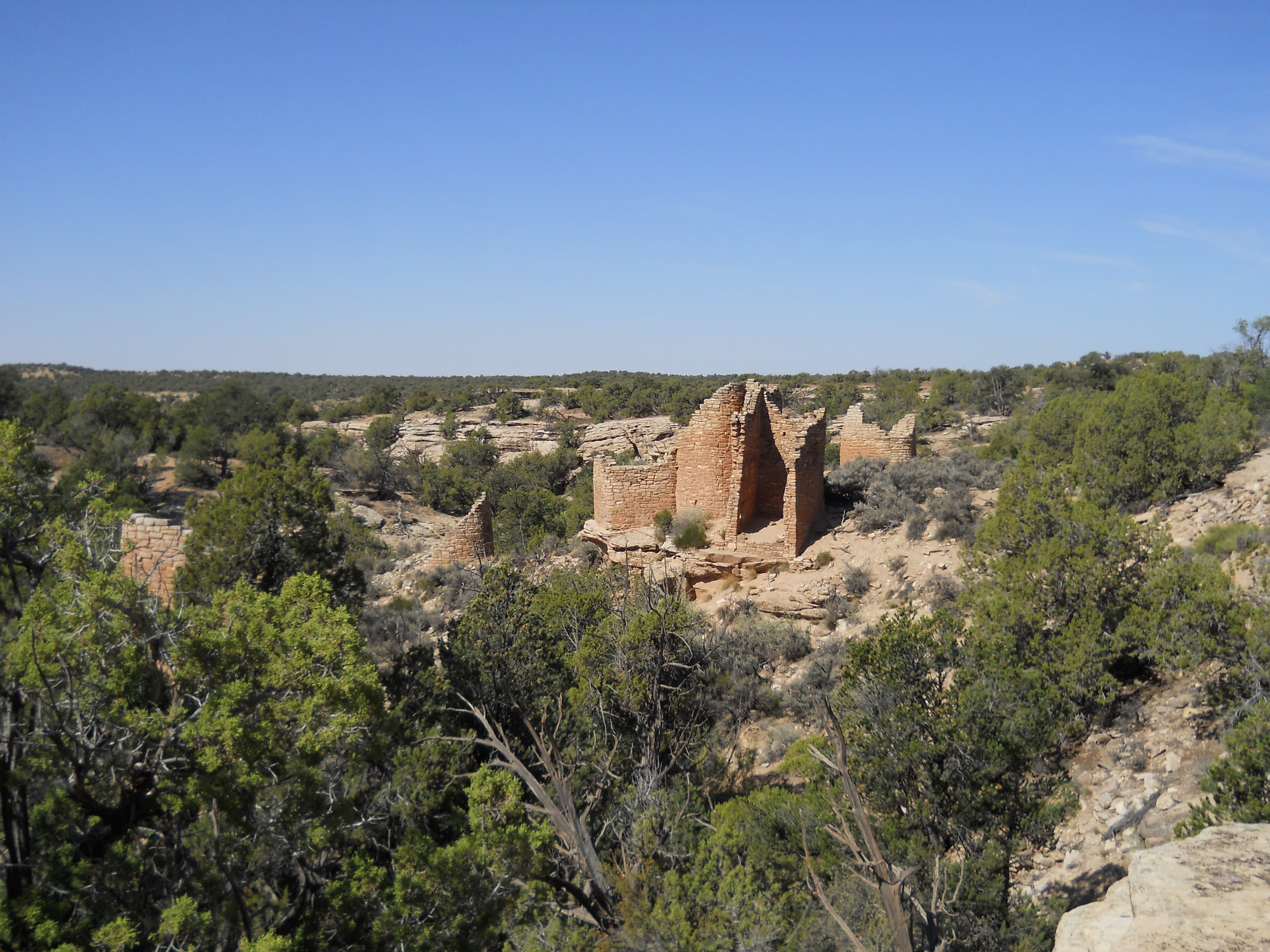 Cutthroat Castle