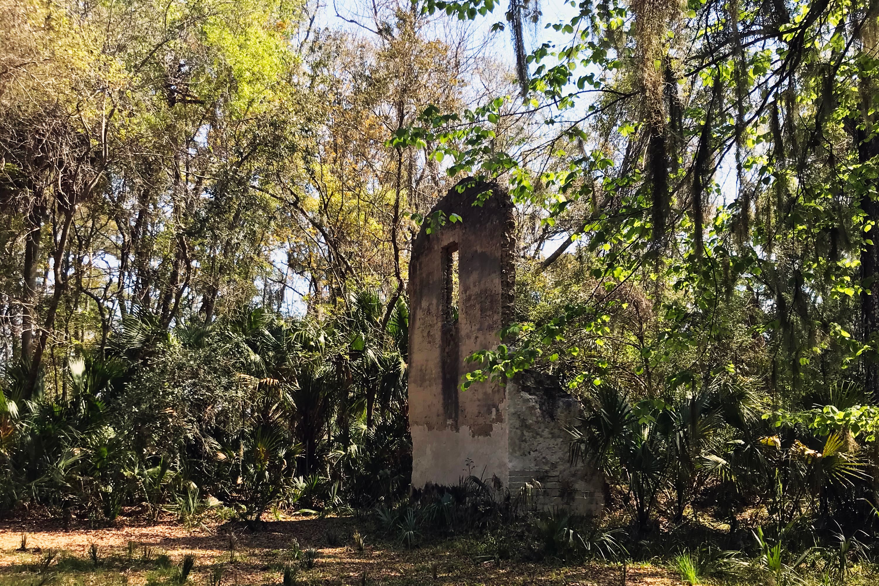 Cedar Point Plantation Ruins