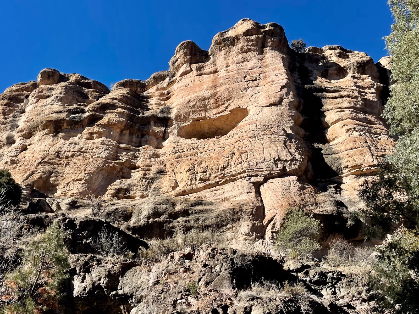 In The Canyon: Nature's Market