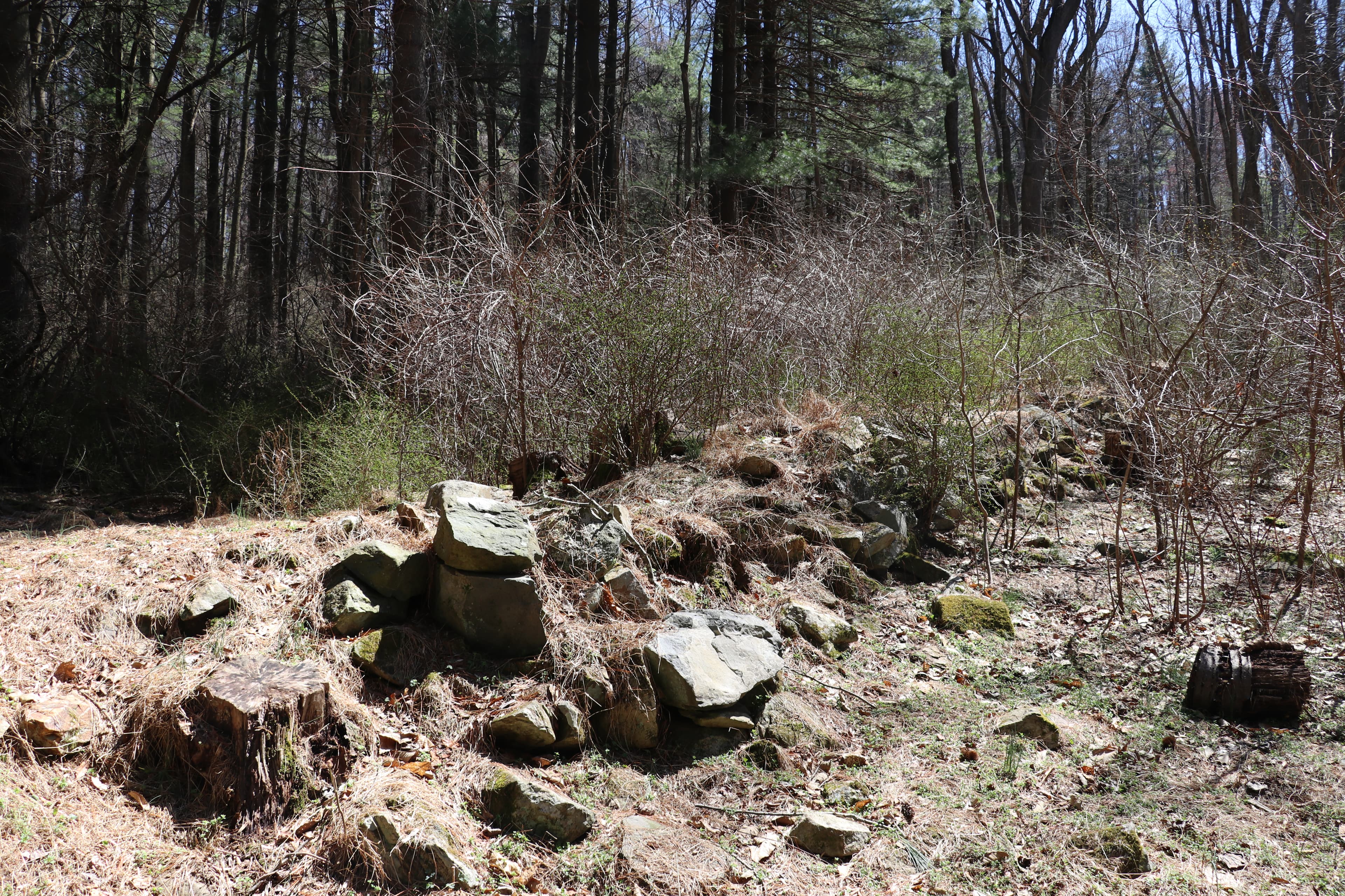 Brown's Farm Trail Stop 10: The Stone Wall