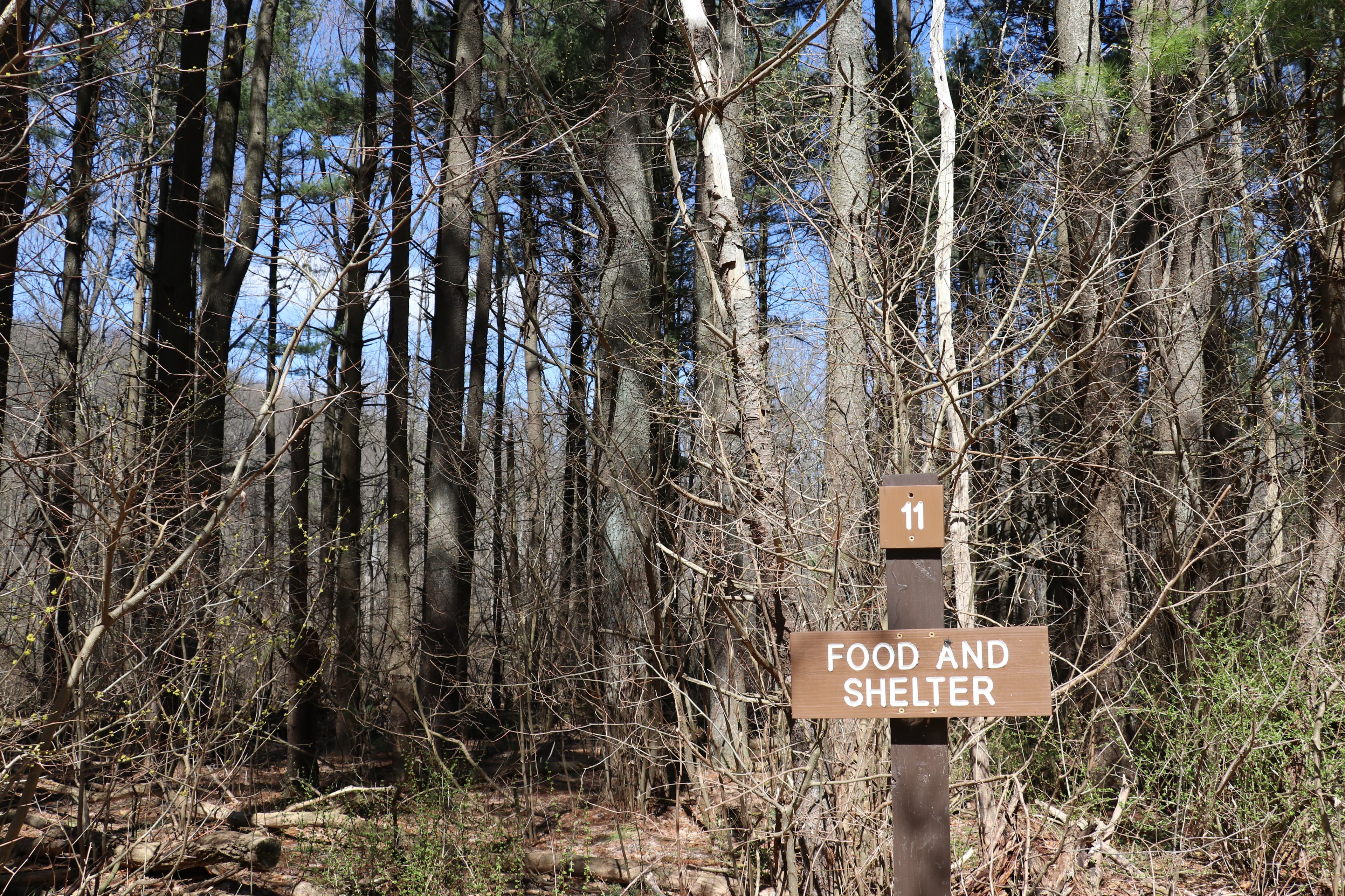 Brown's Farm Trail Stop 11: Food and Shelter