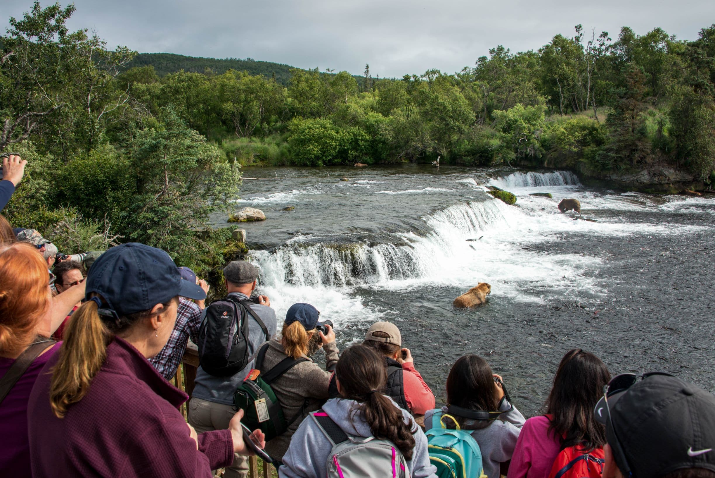 Brooks Falls Platform