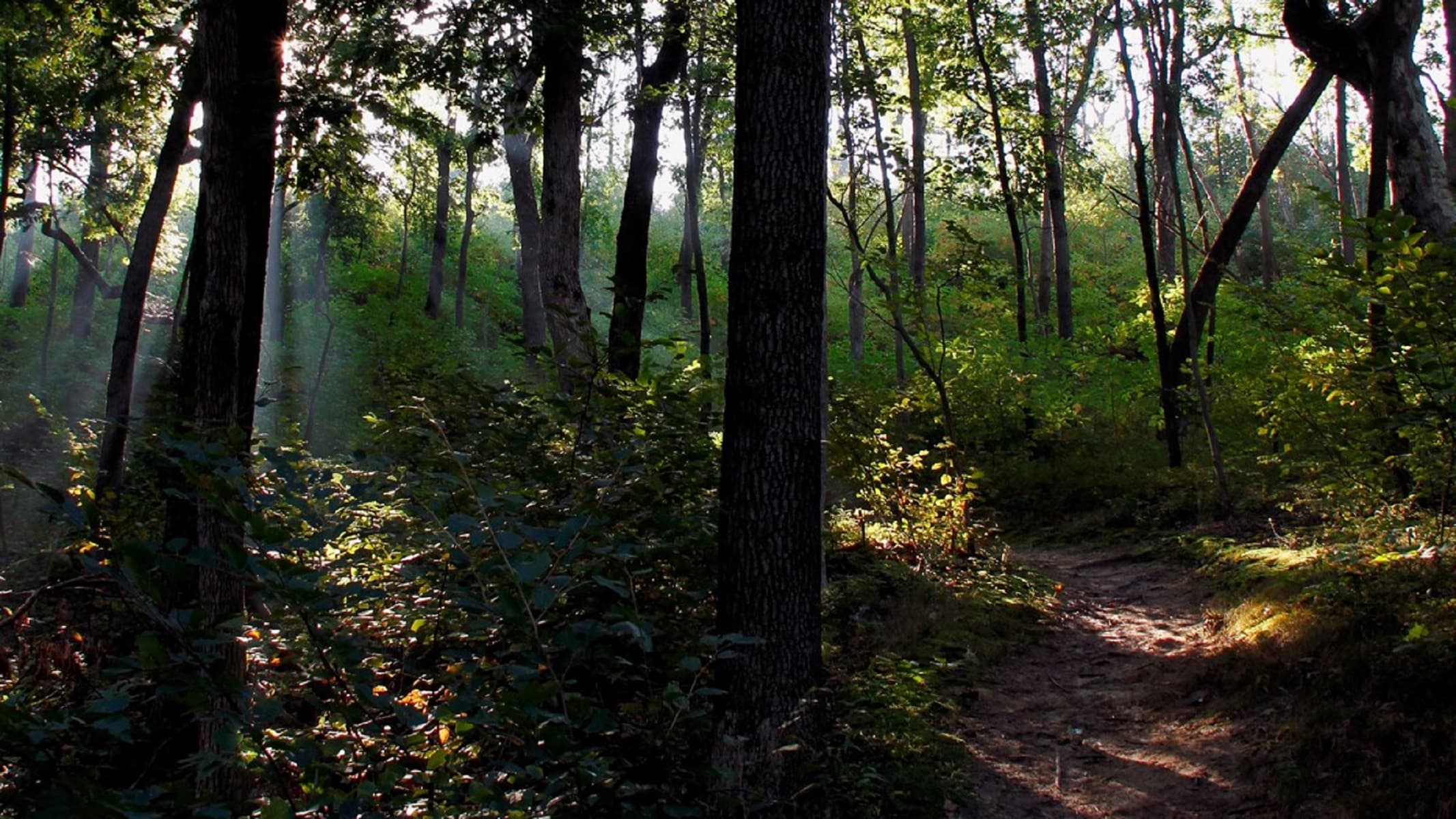 Dune Ridge Trail