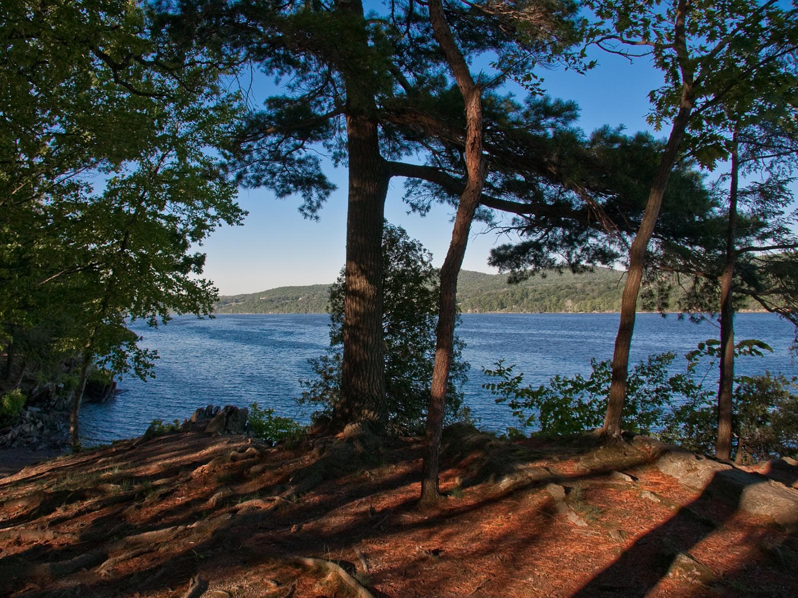 Bard Rock