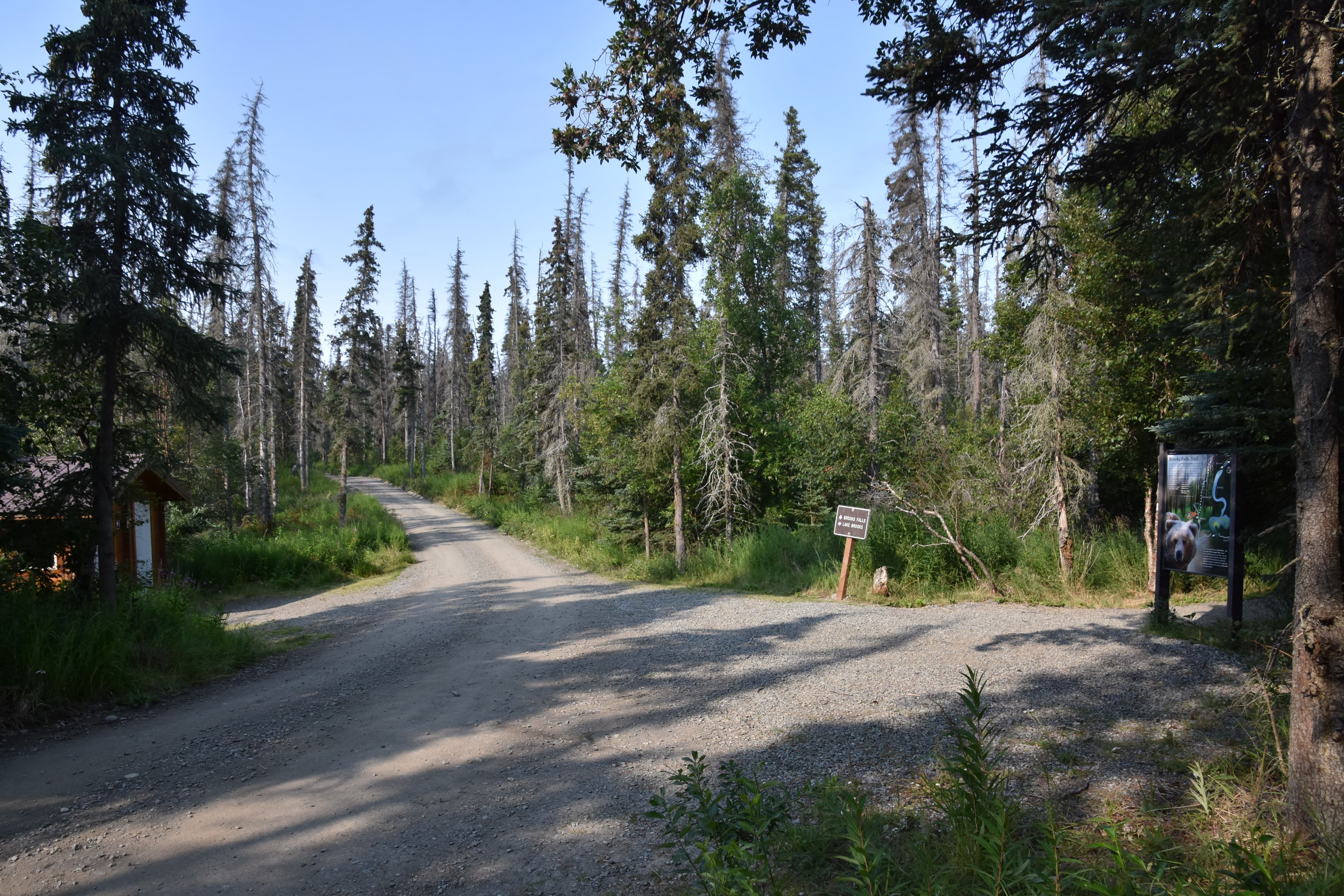Brooks Falls Trailhead
