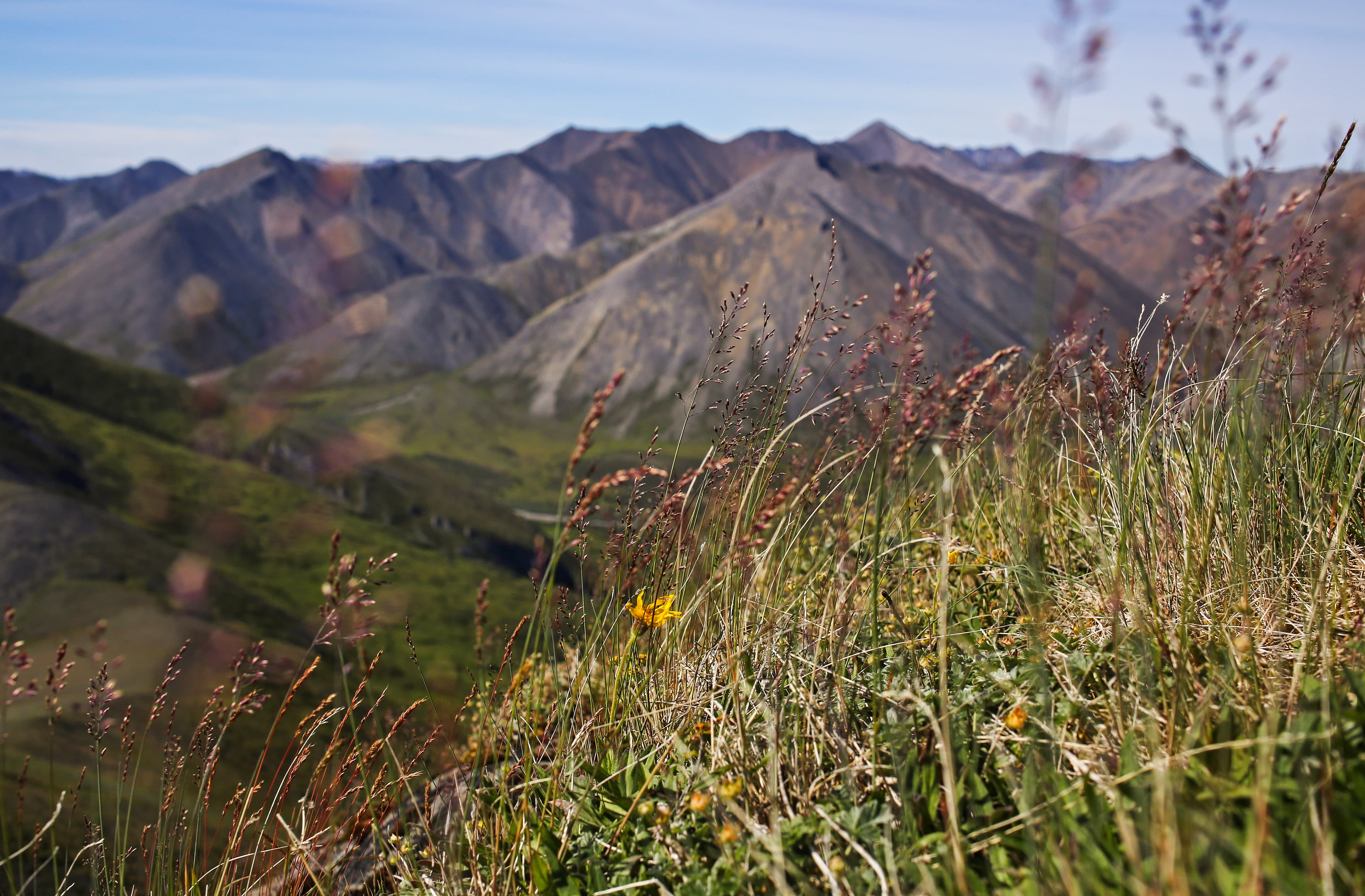 Copter Peak