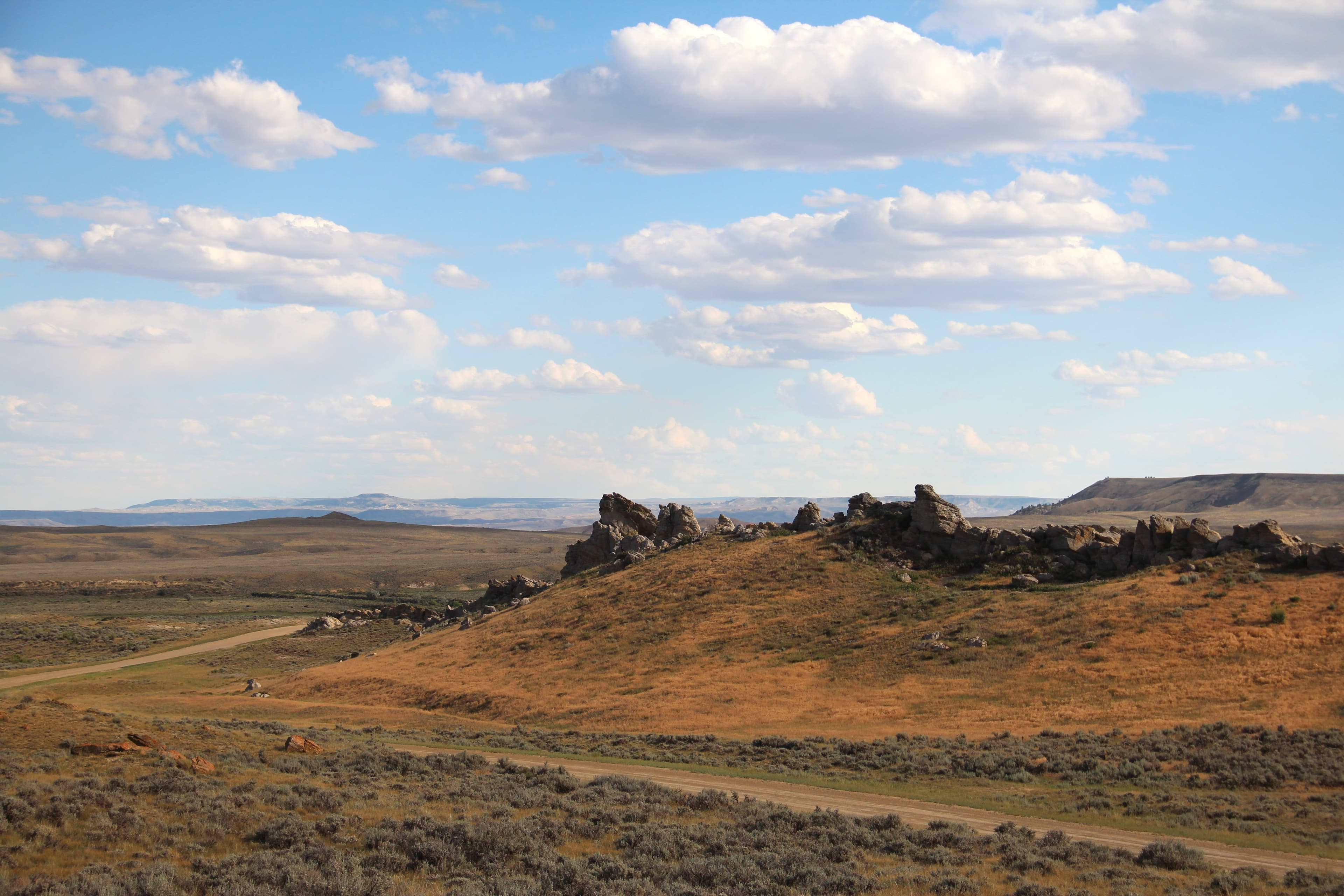 Avenue of Rocks