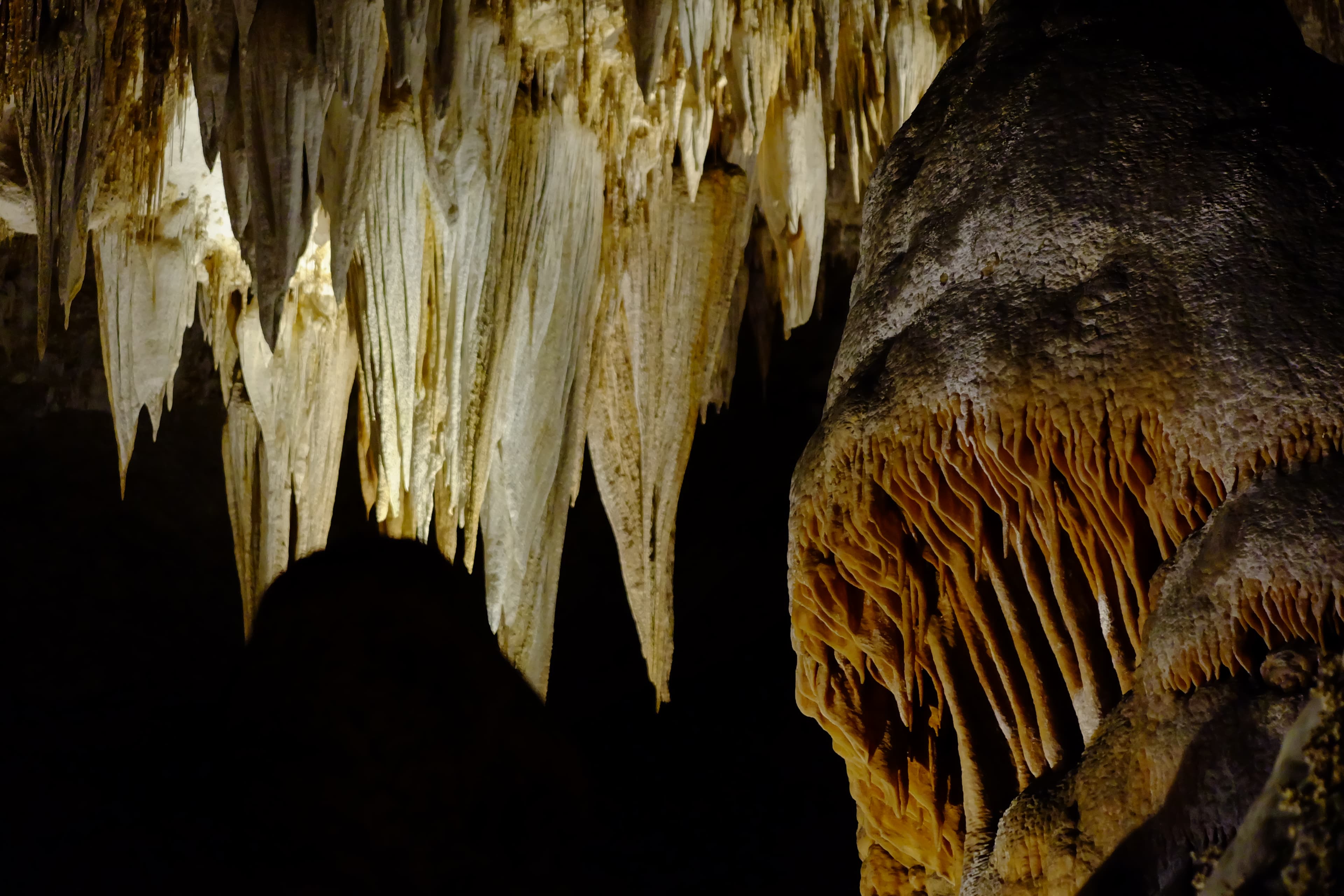 Timed-Entry Tickets Required to Enter Cavern