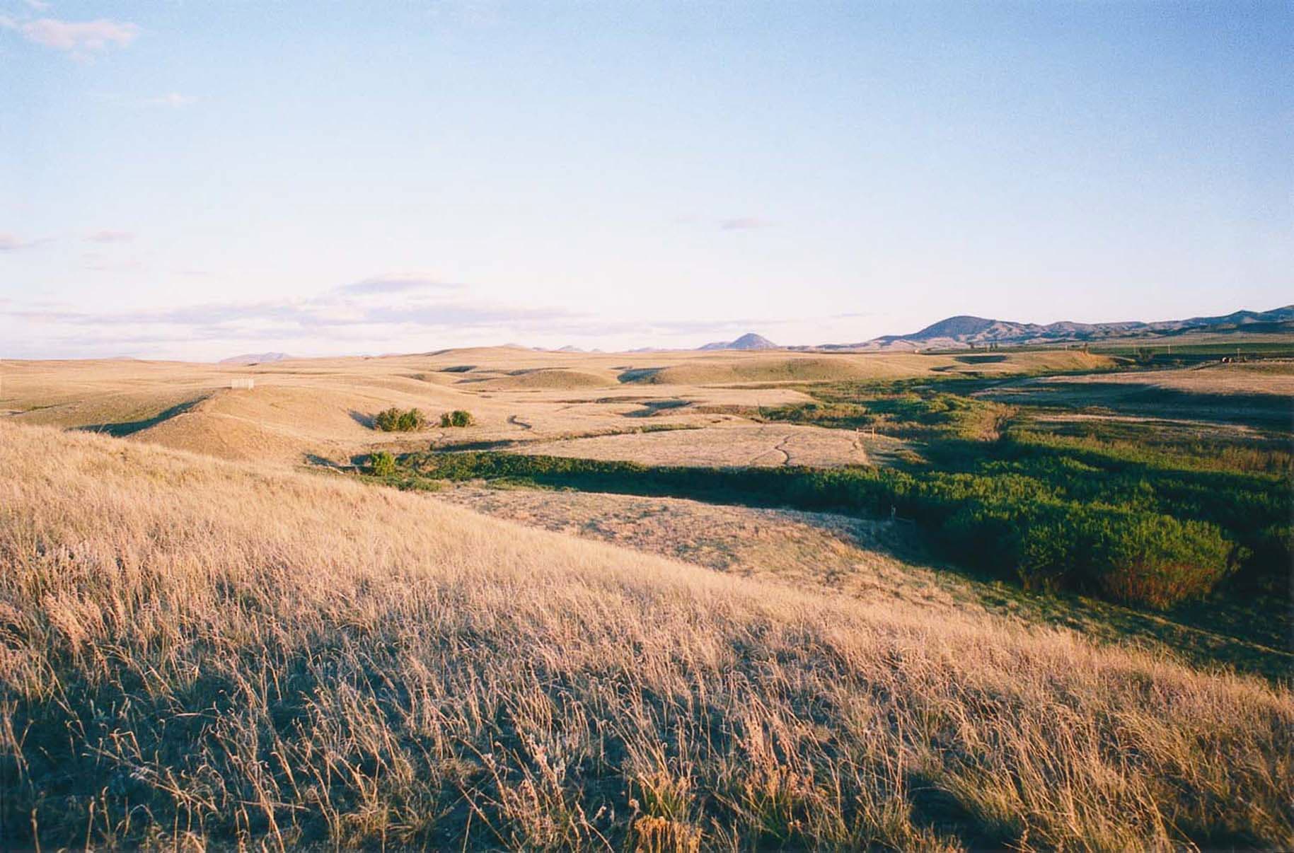 Bear Paw Battlefield