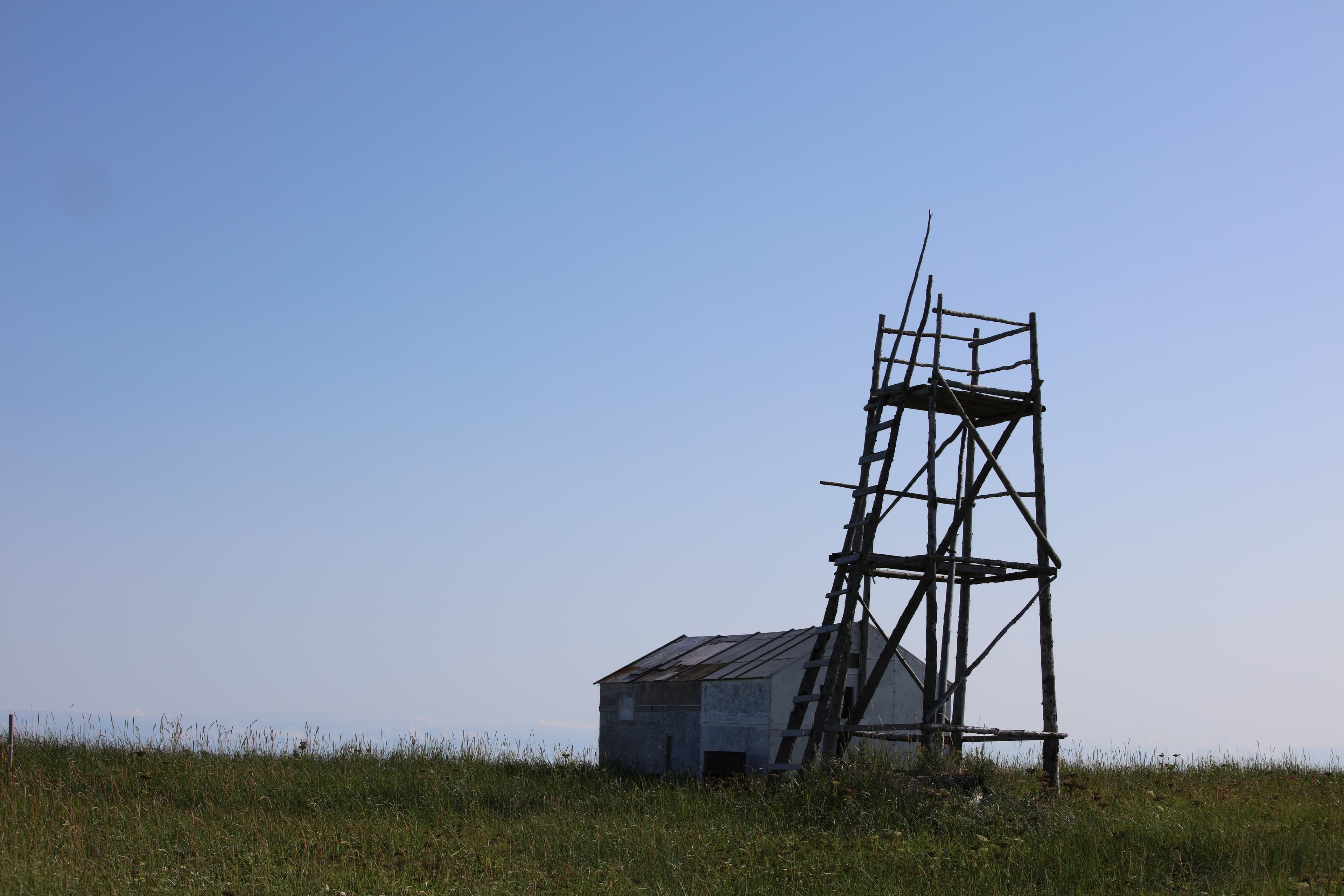 Sealing Point Tower