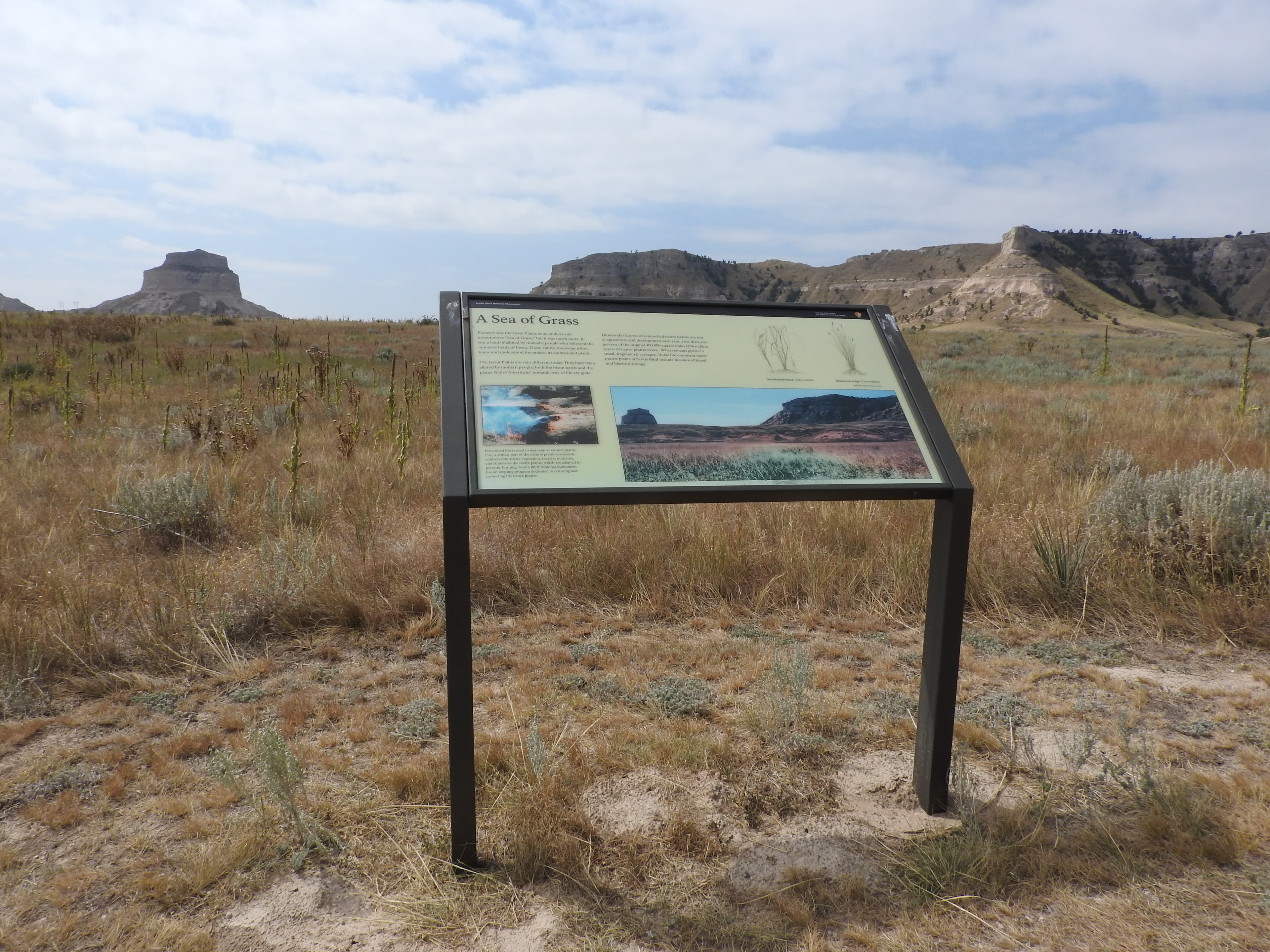 "A Sea of Grass" Wayside