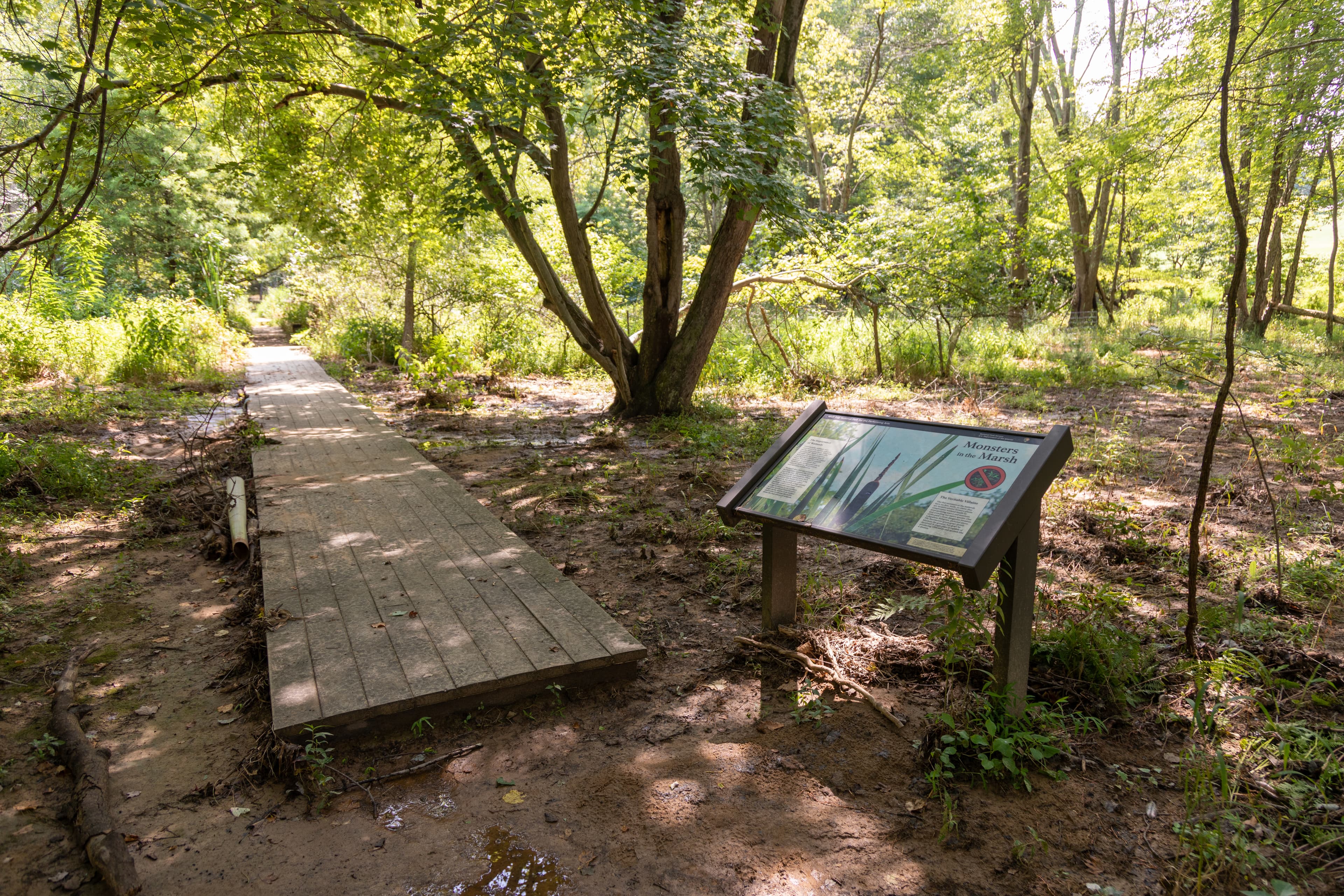 Information Panel: Monsters in the Marsh