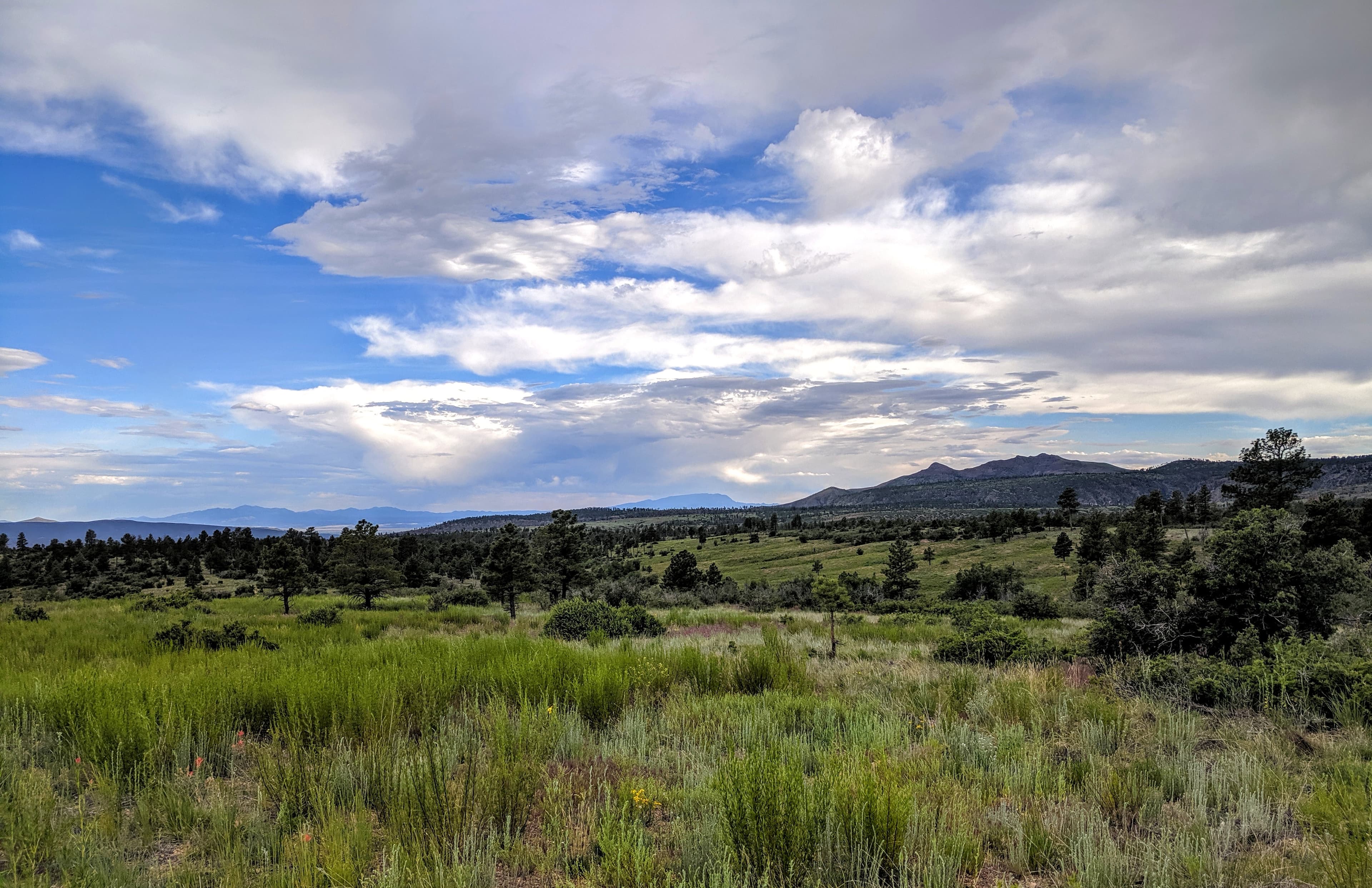 Burnt Mesa