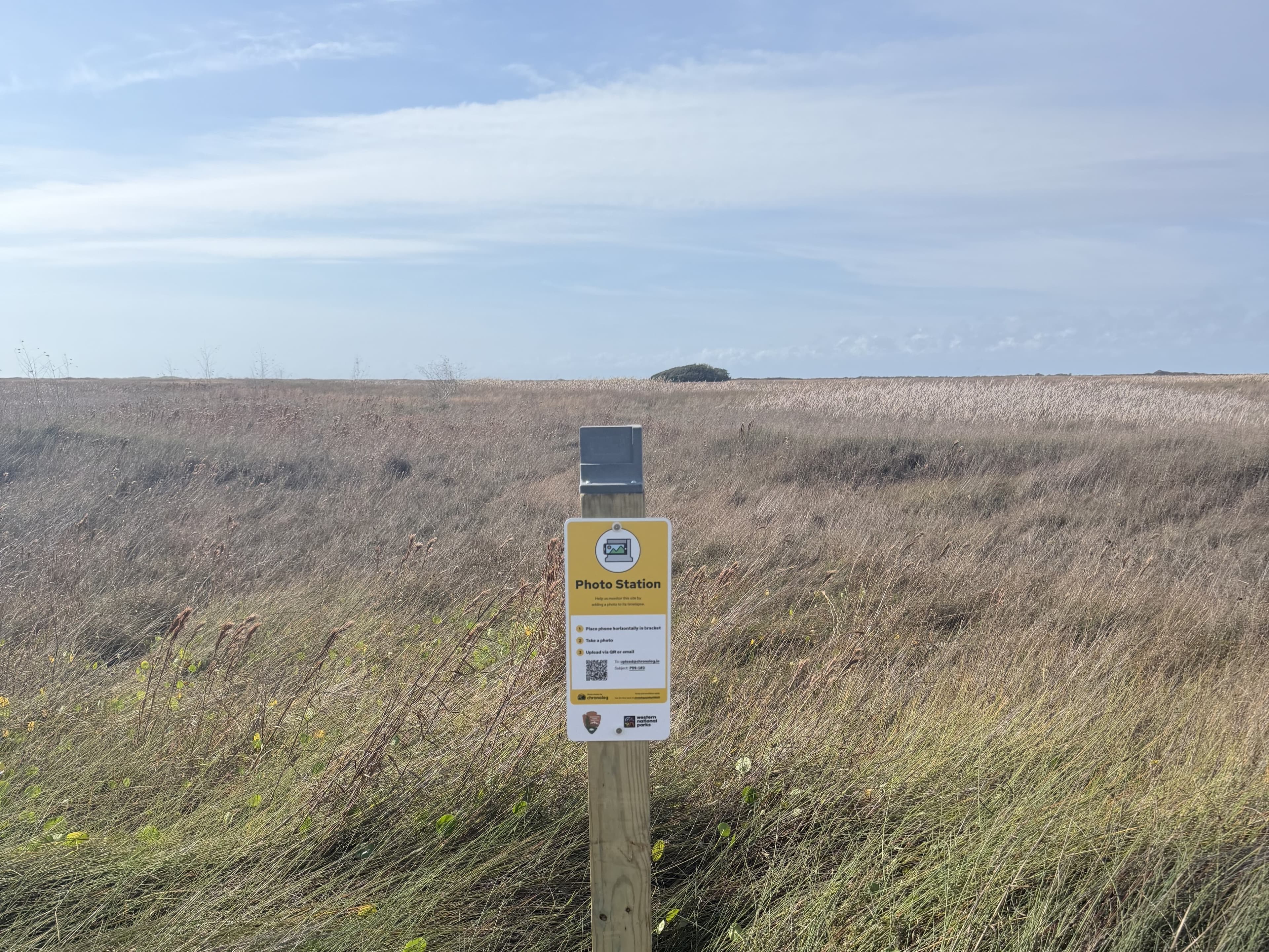 PIN103: Coastal Prairie (Bird Island Basin Road)