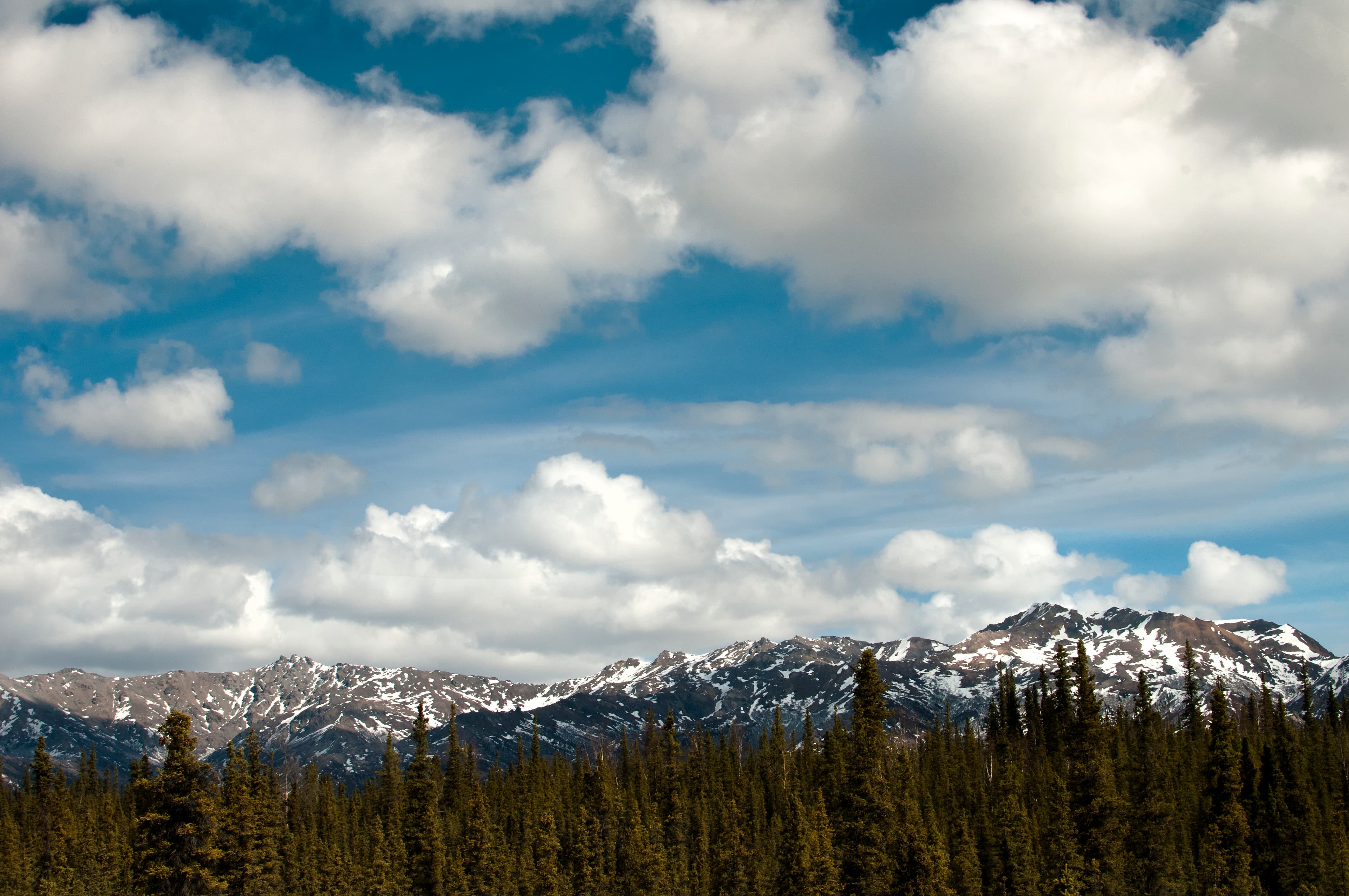 Denali's Historic Headquarters