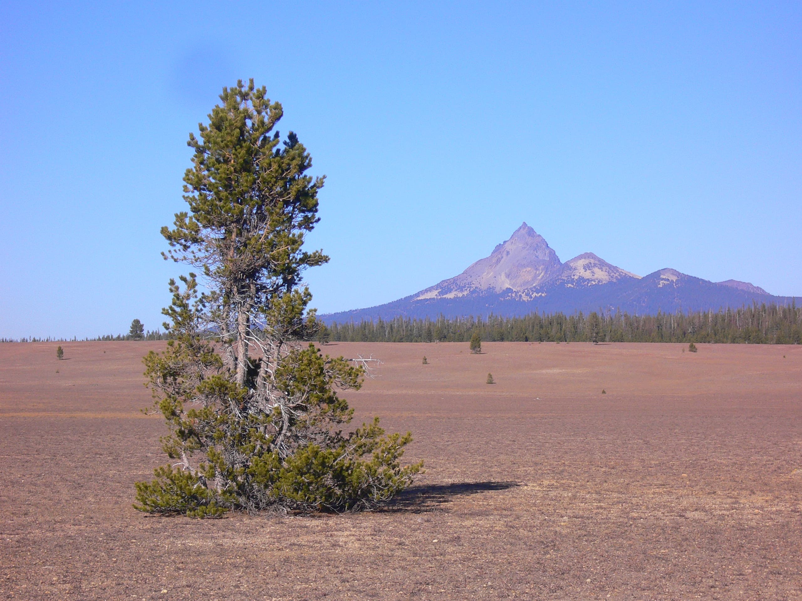 Pumice Desert