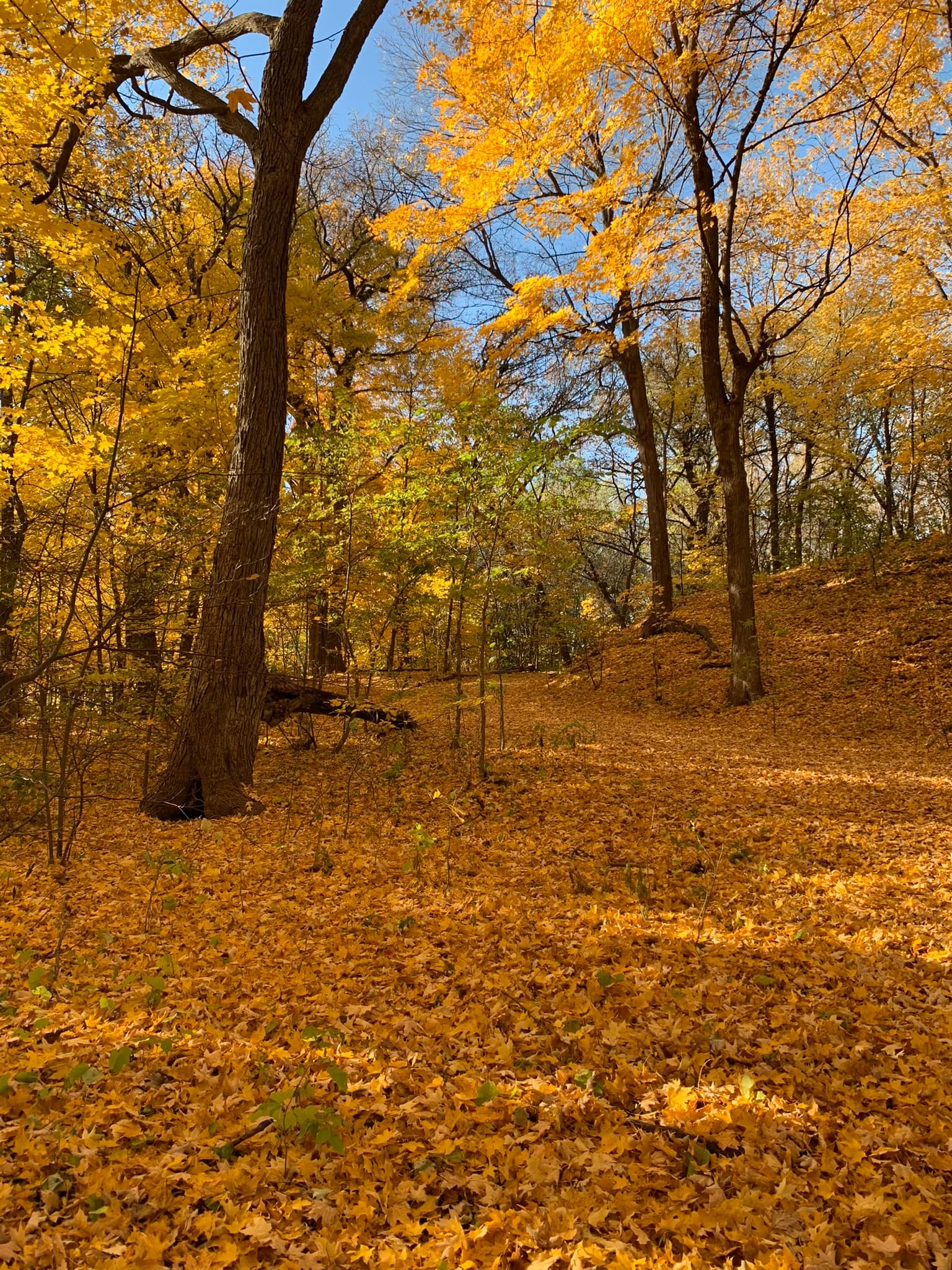 Mni Owe Sni (Coldwater Spring)