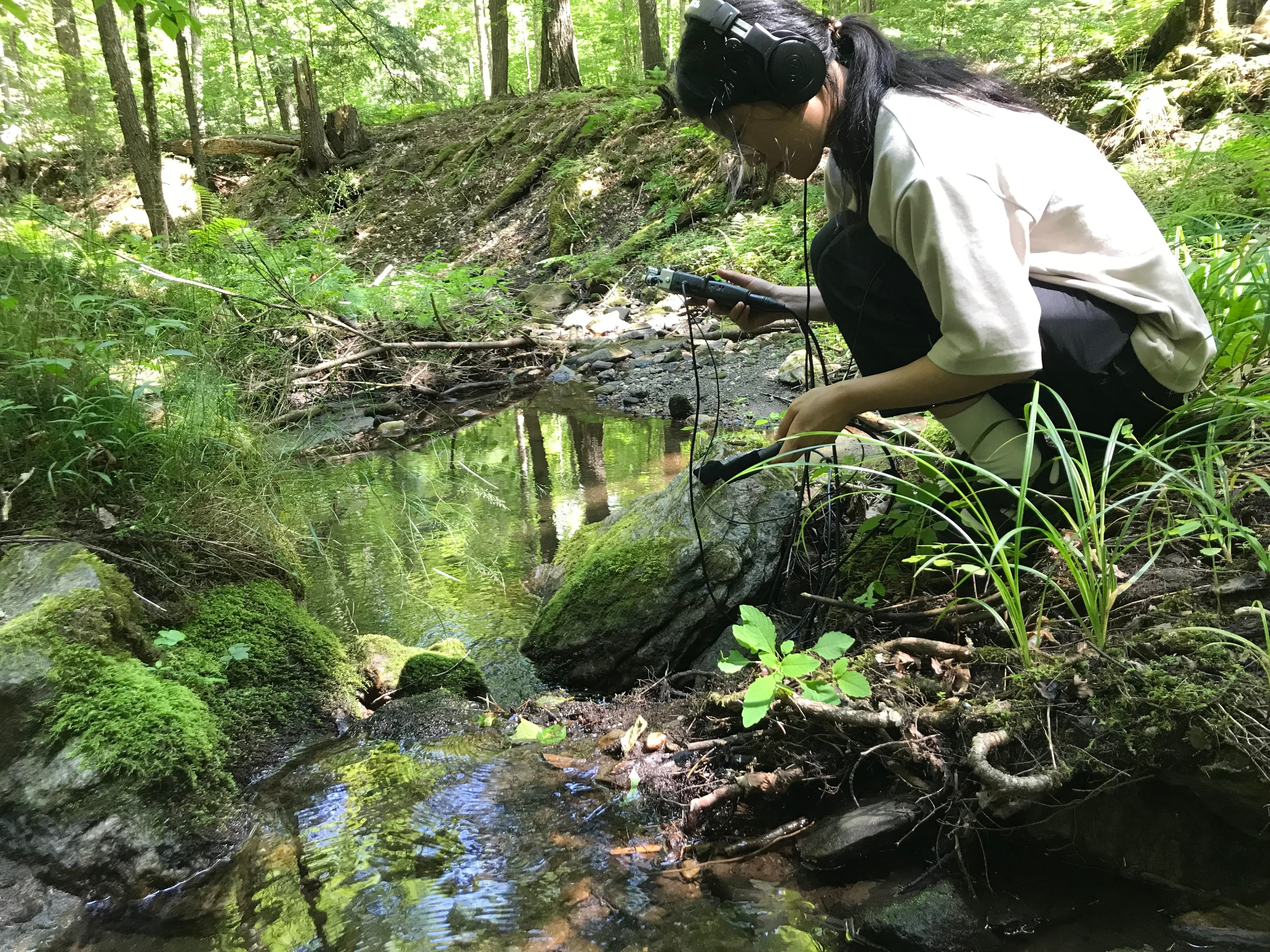 Pogue Brook