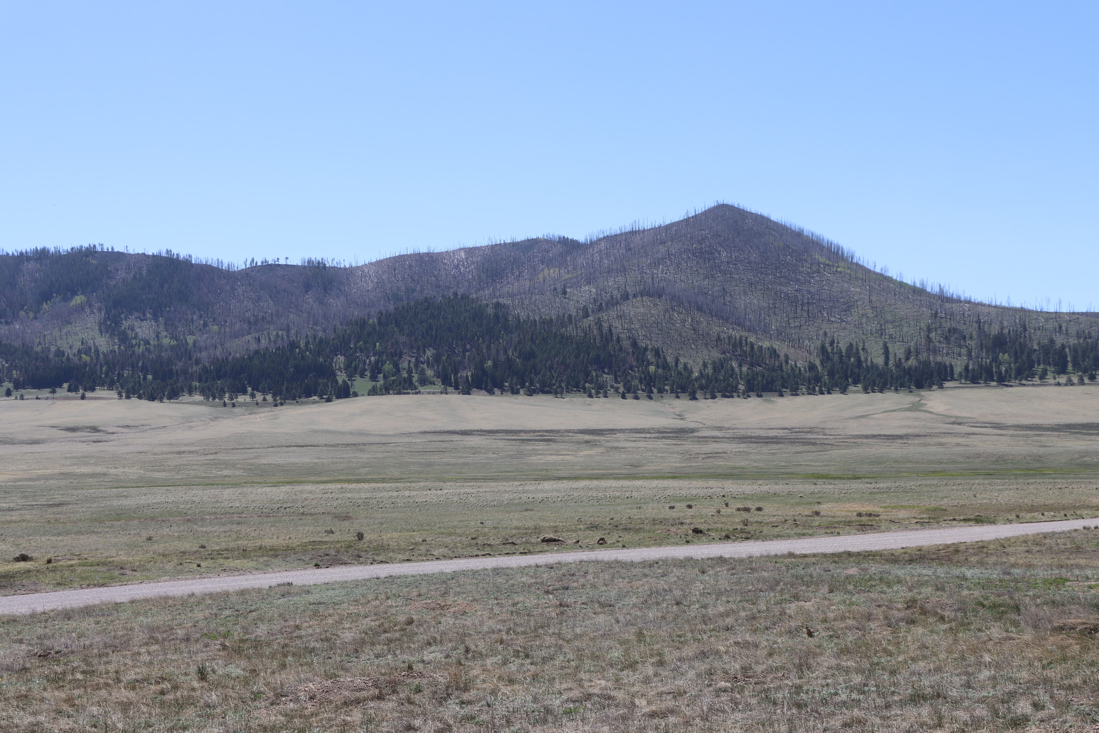 Cerro La Jara Stop 3