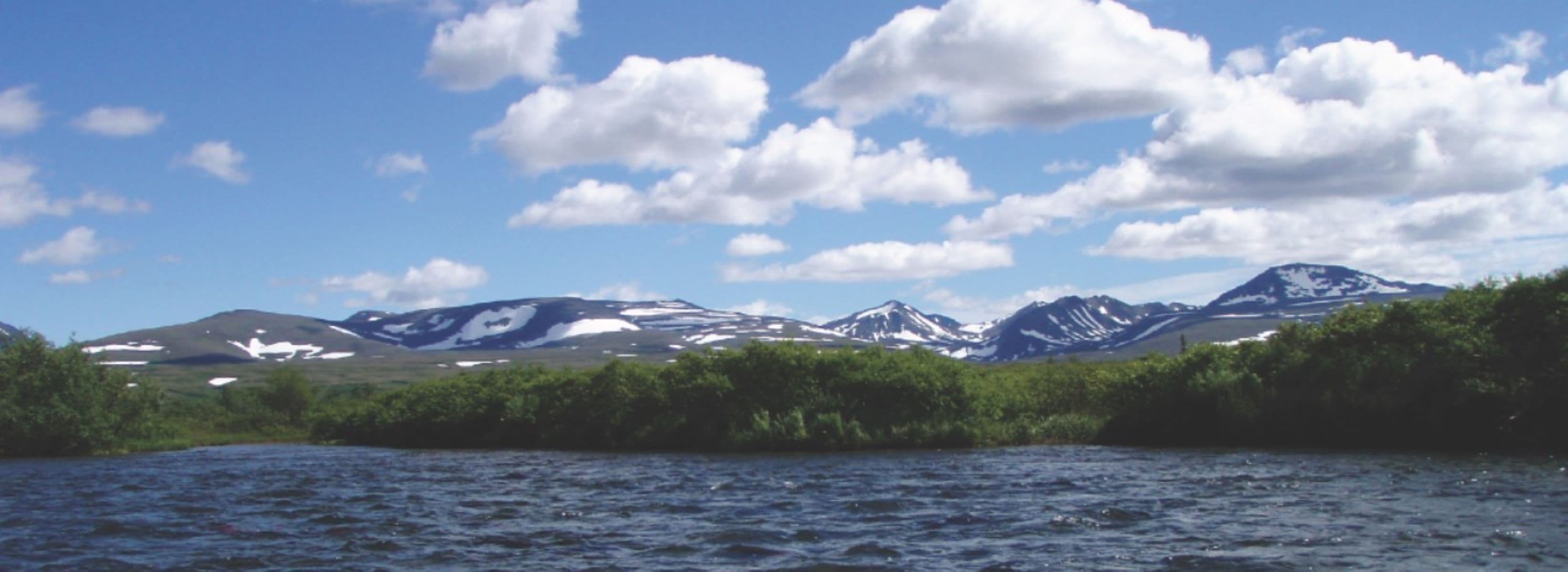 American Creek
