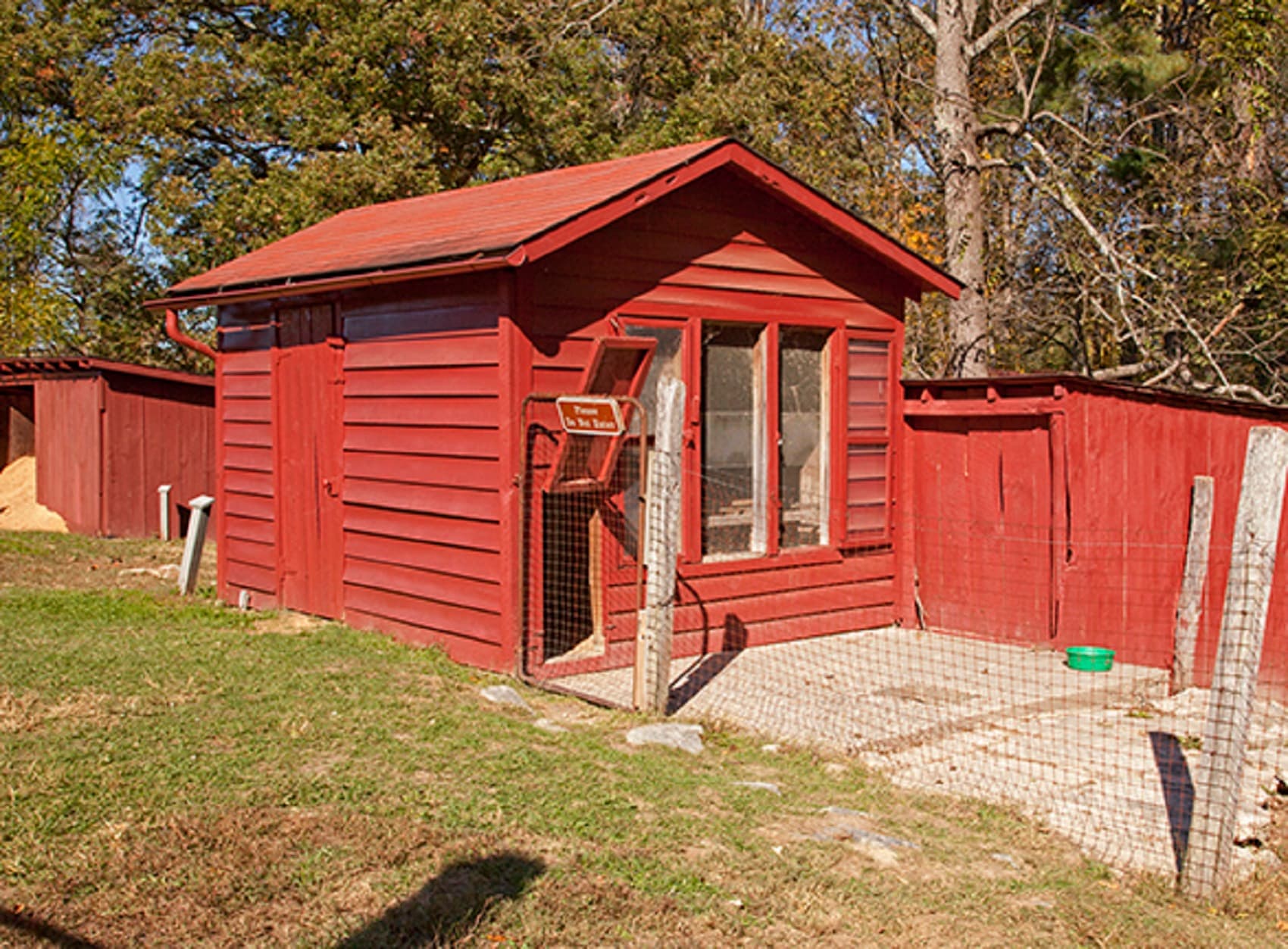 Cow, Chicken and Storage sheds