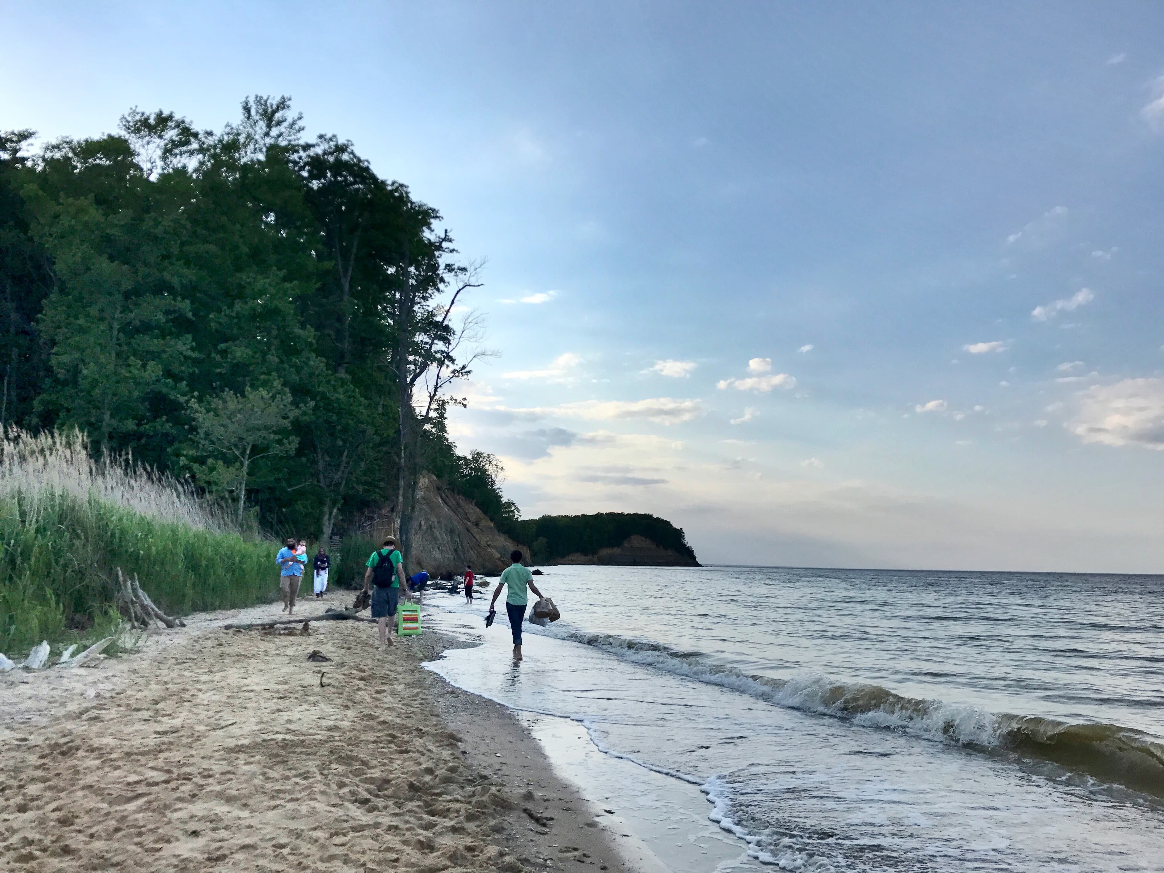 Calvert Cliffs State Park