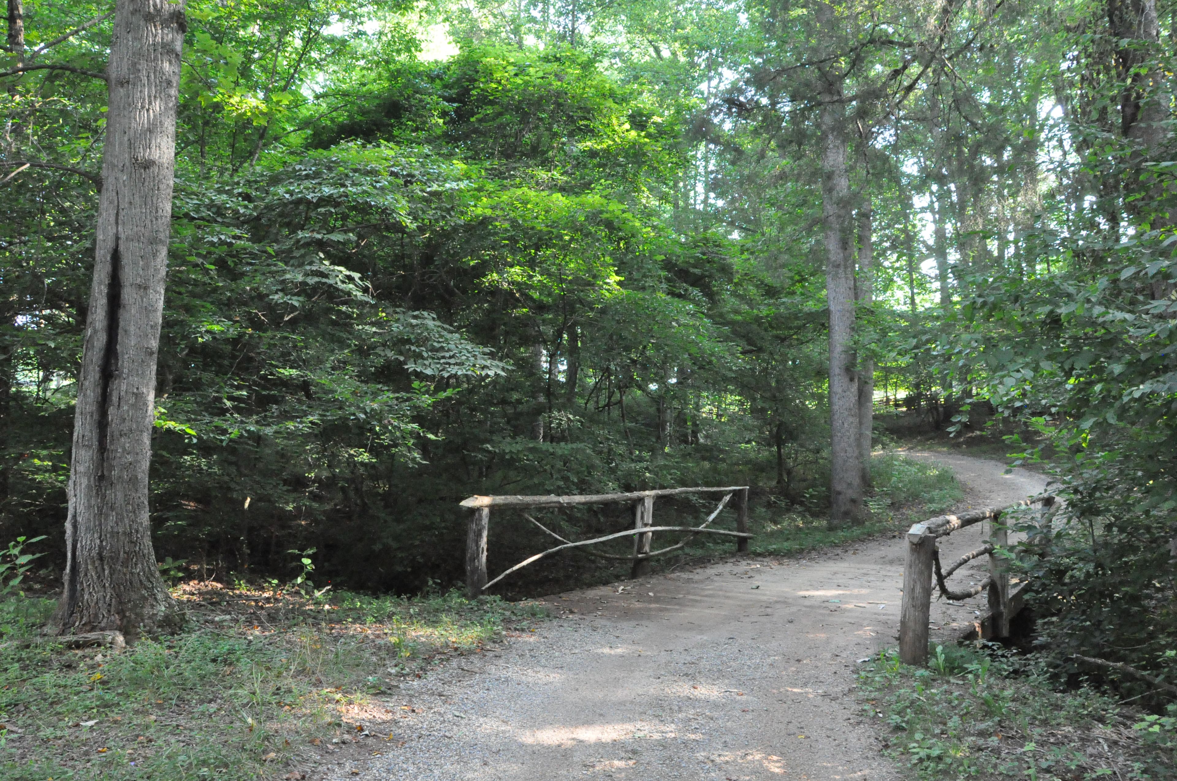 Jack-O-Lantern Branch Trail