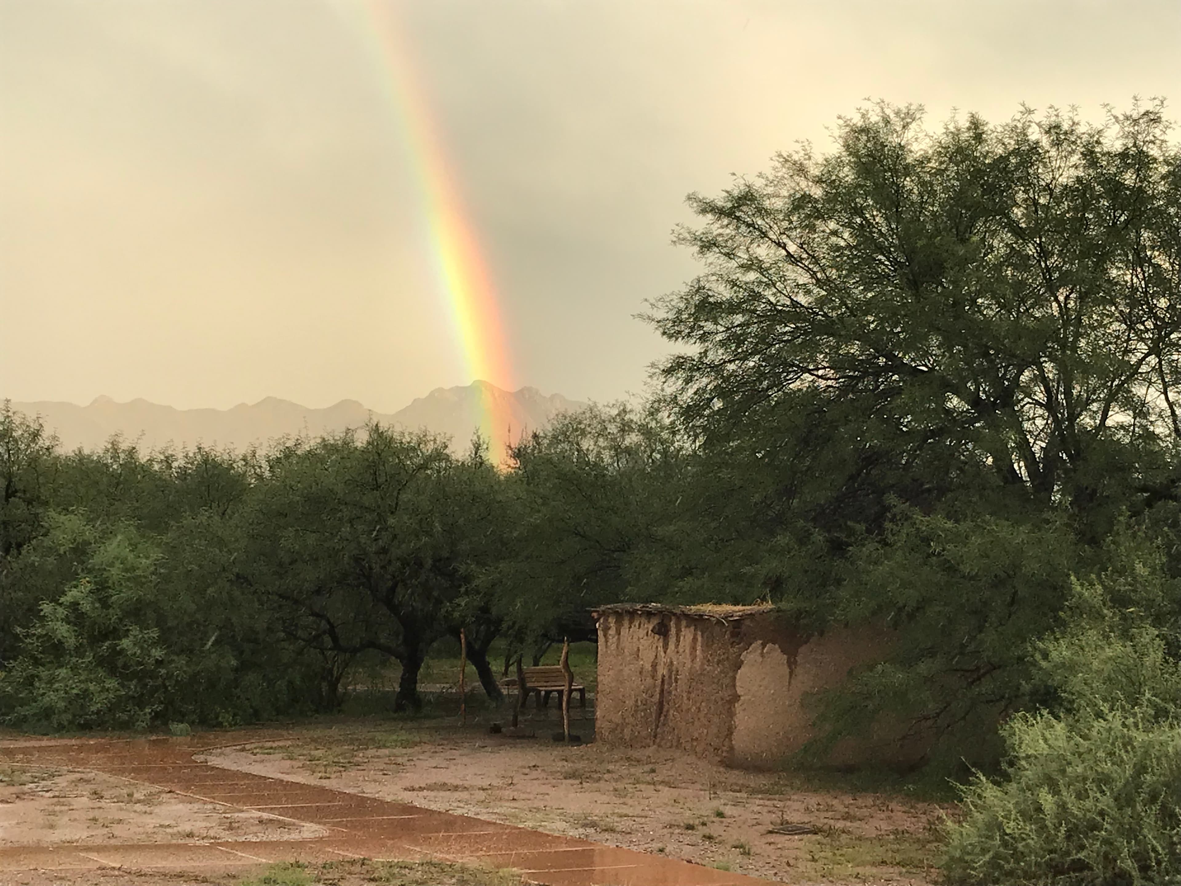 Melhok Ki (ocotillo and mud house)