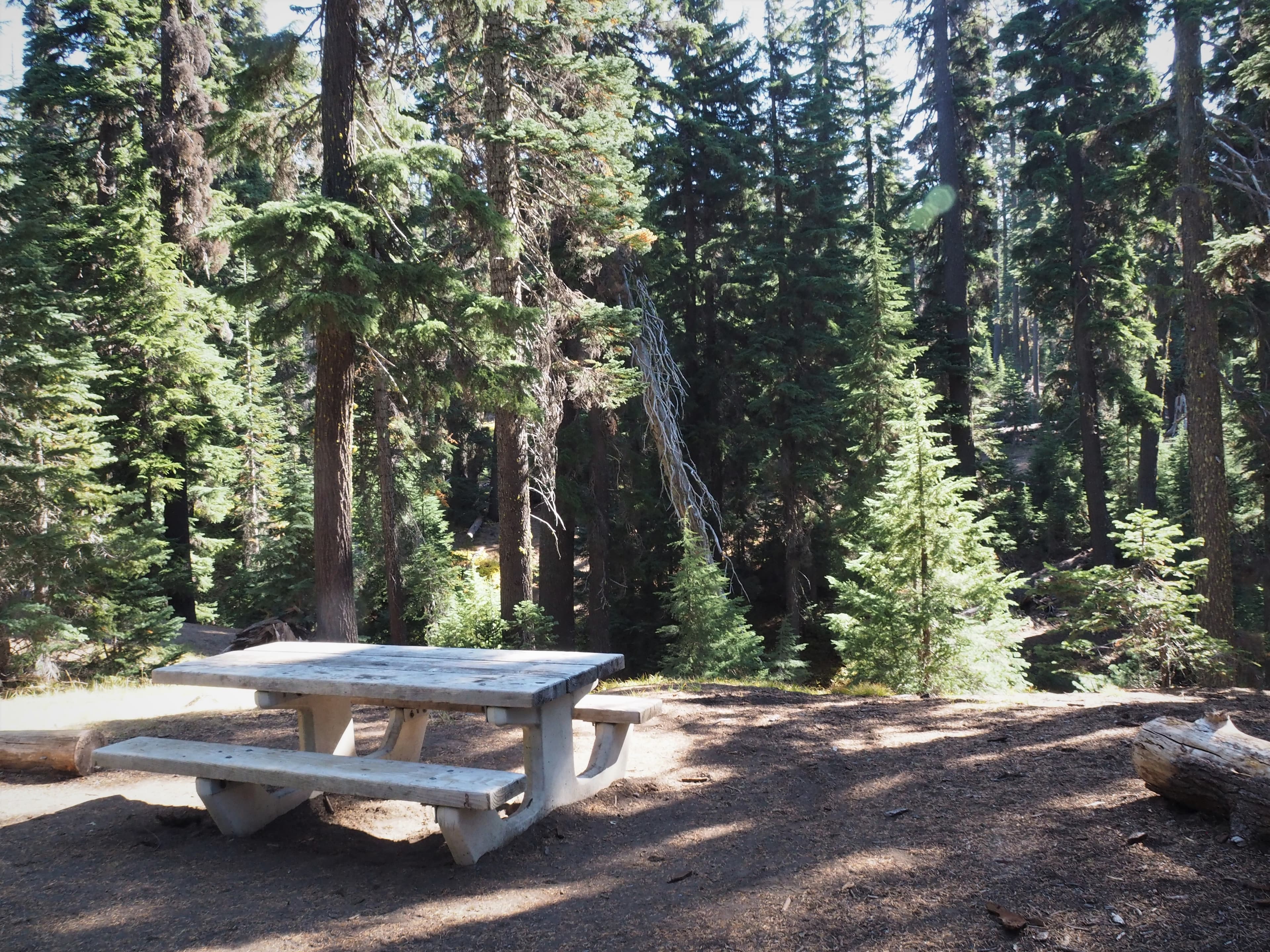 Goodbye Picnic Area