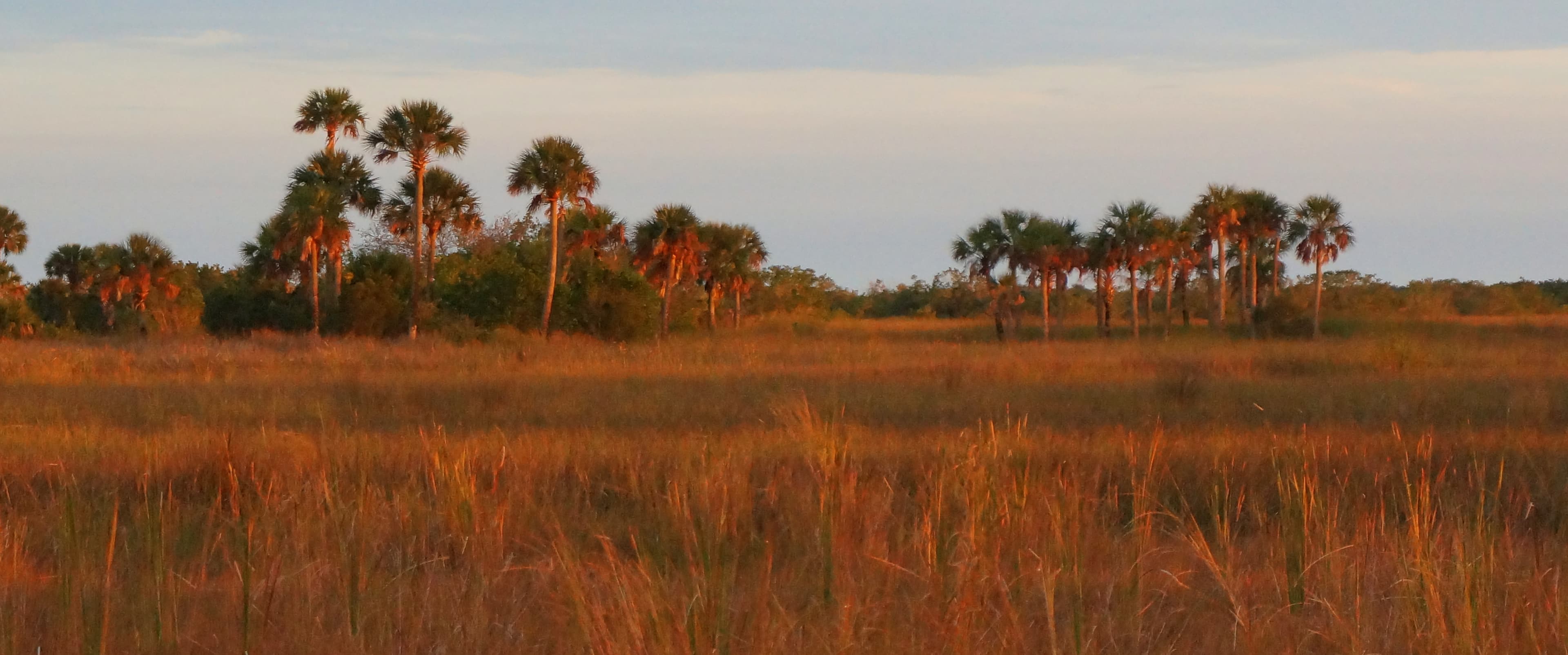 Fire Prairie Trail