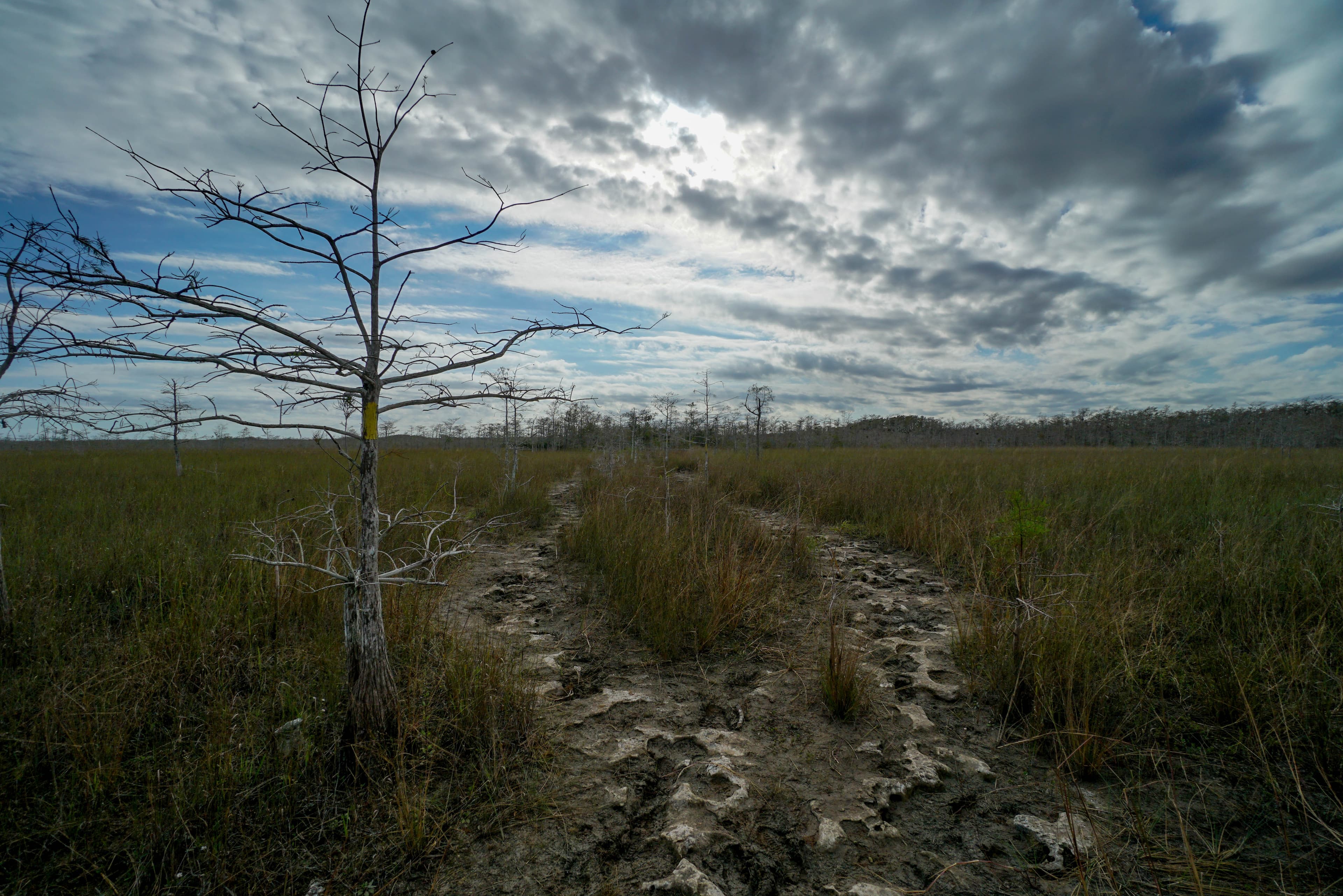Gator Hook Trail