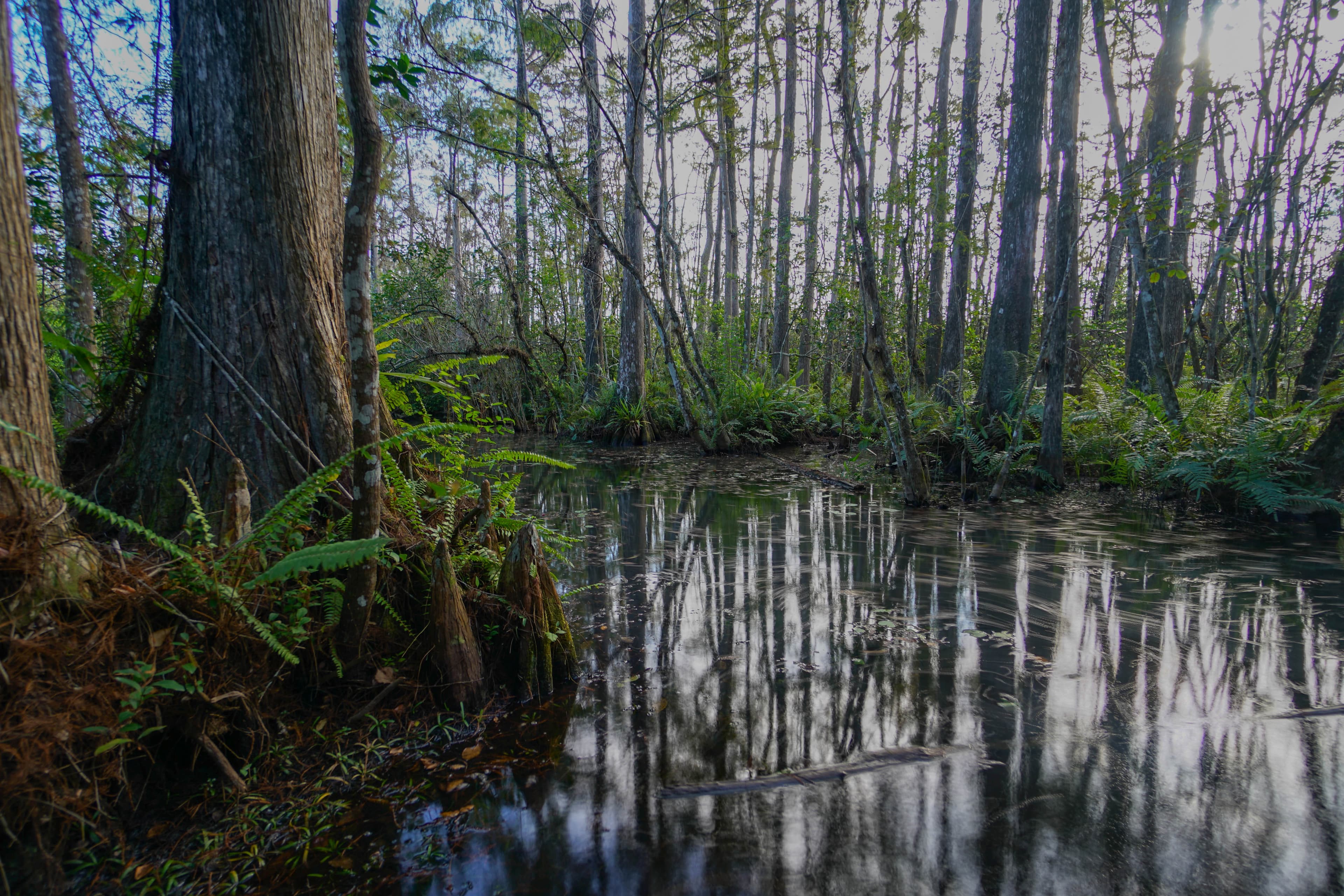 Deep Lake Trail